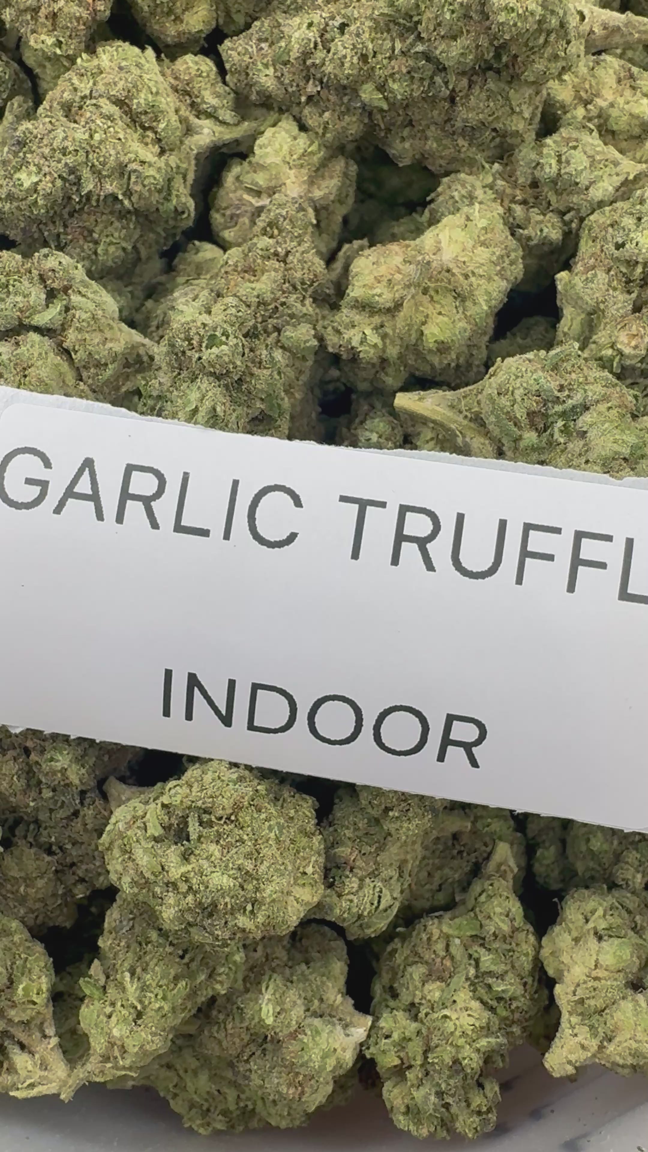 J Litty’s LABOR DAY Indoor Flower Deals!