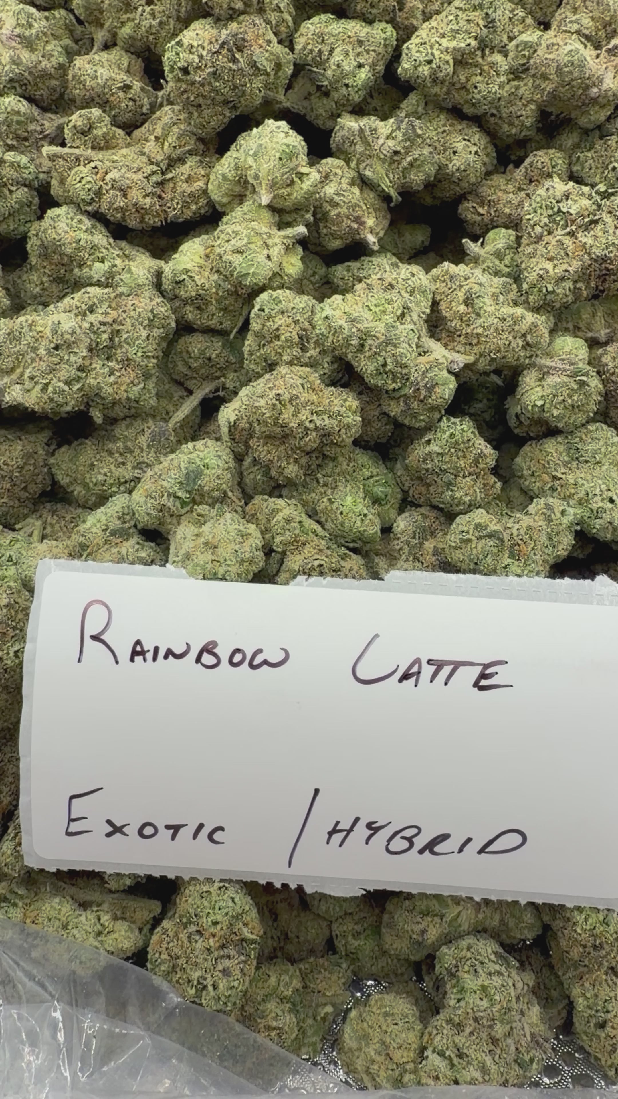 TOP SHELF EXOTICS