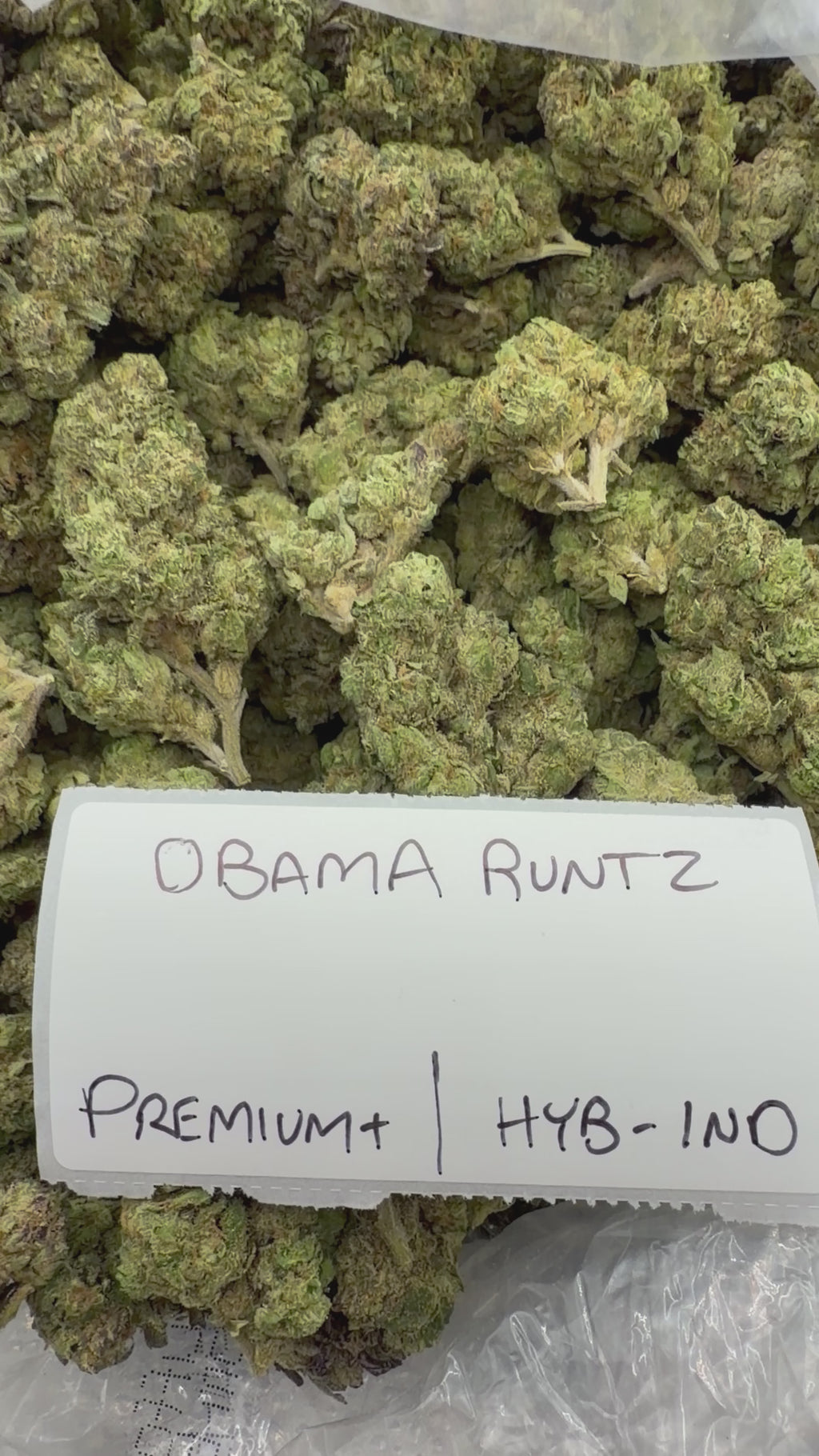 J Litty’s Weekly Deals!