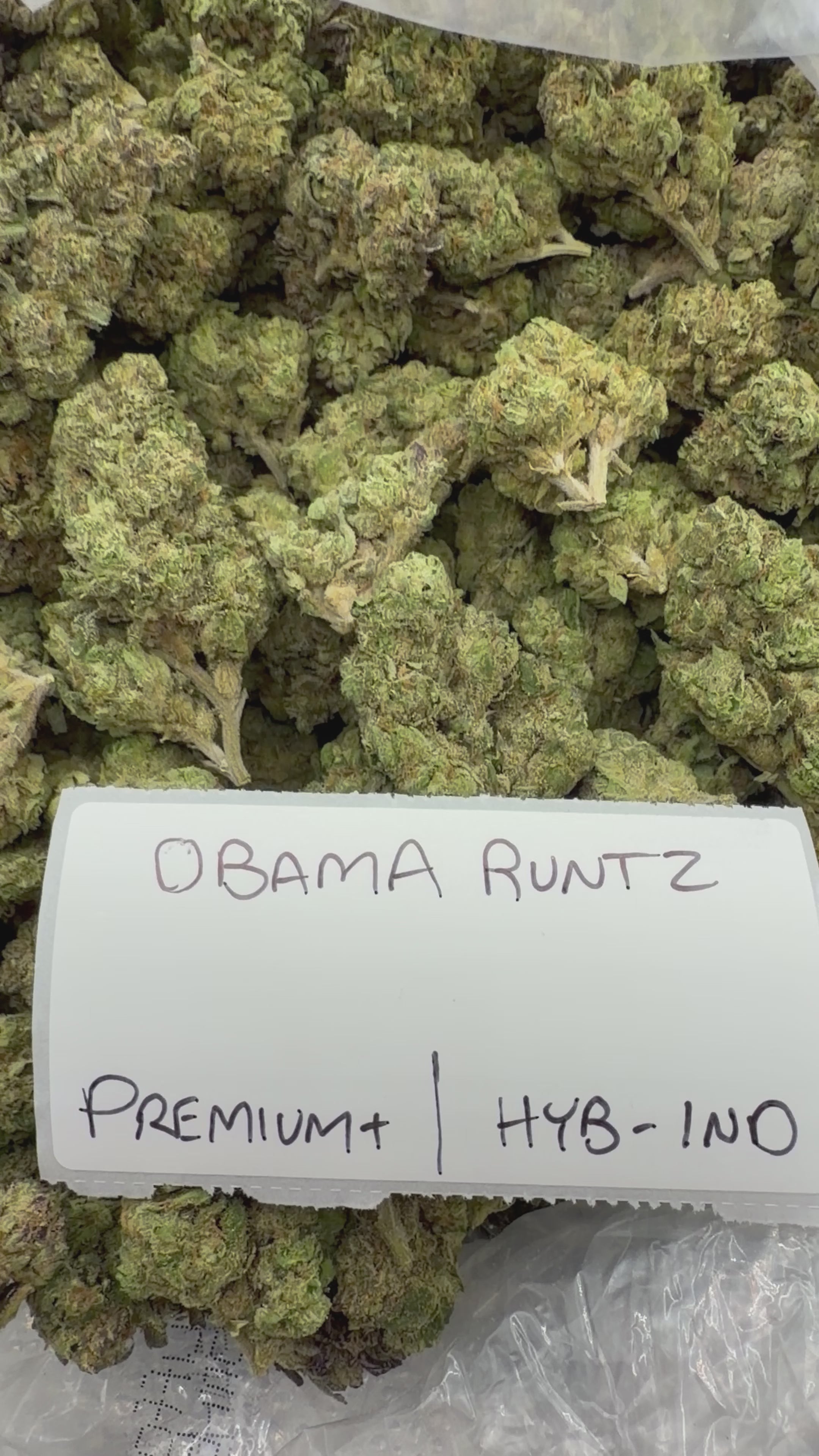 J Litty’s Weekly Deals!