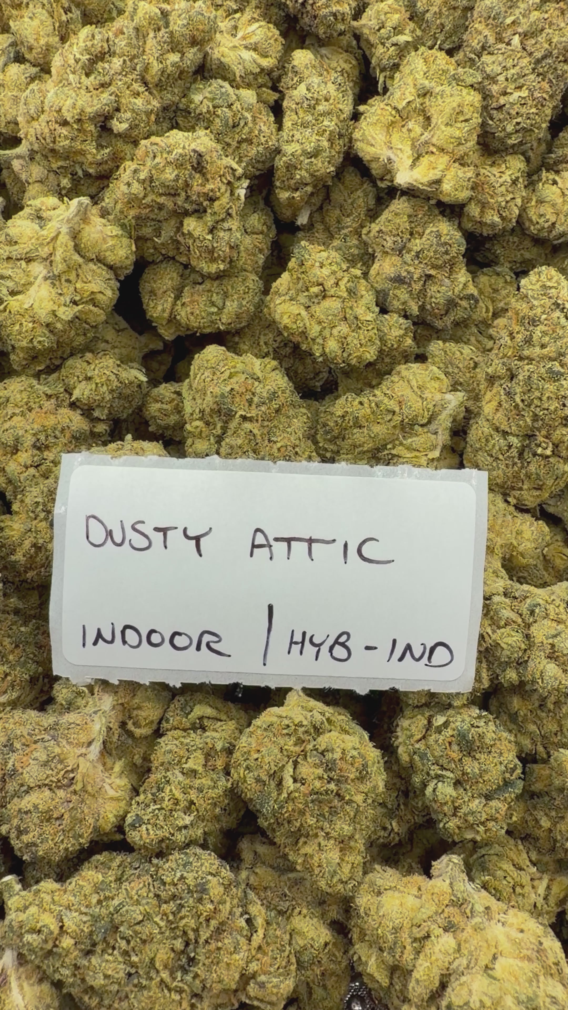 J Litty’s Weekly Deals!