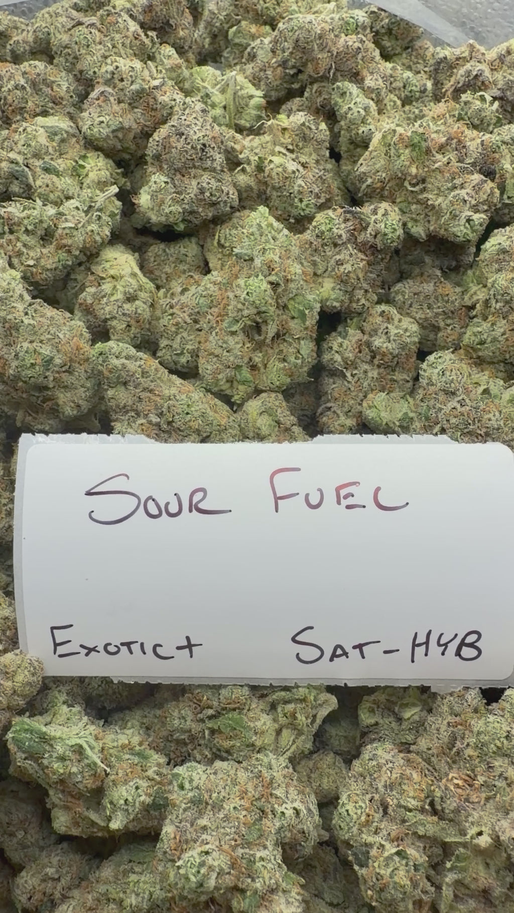 TOP SHELF EXOTICS