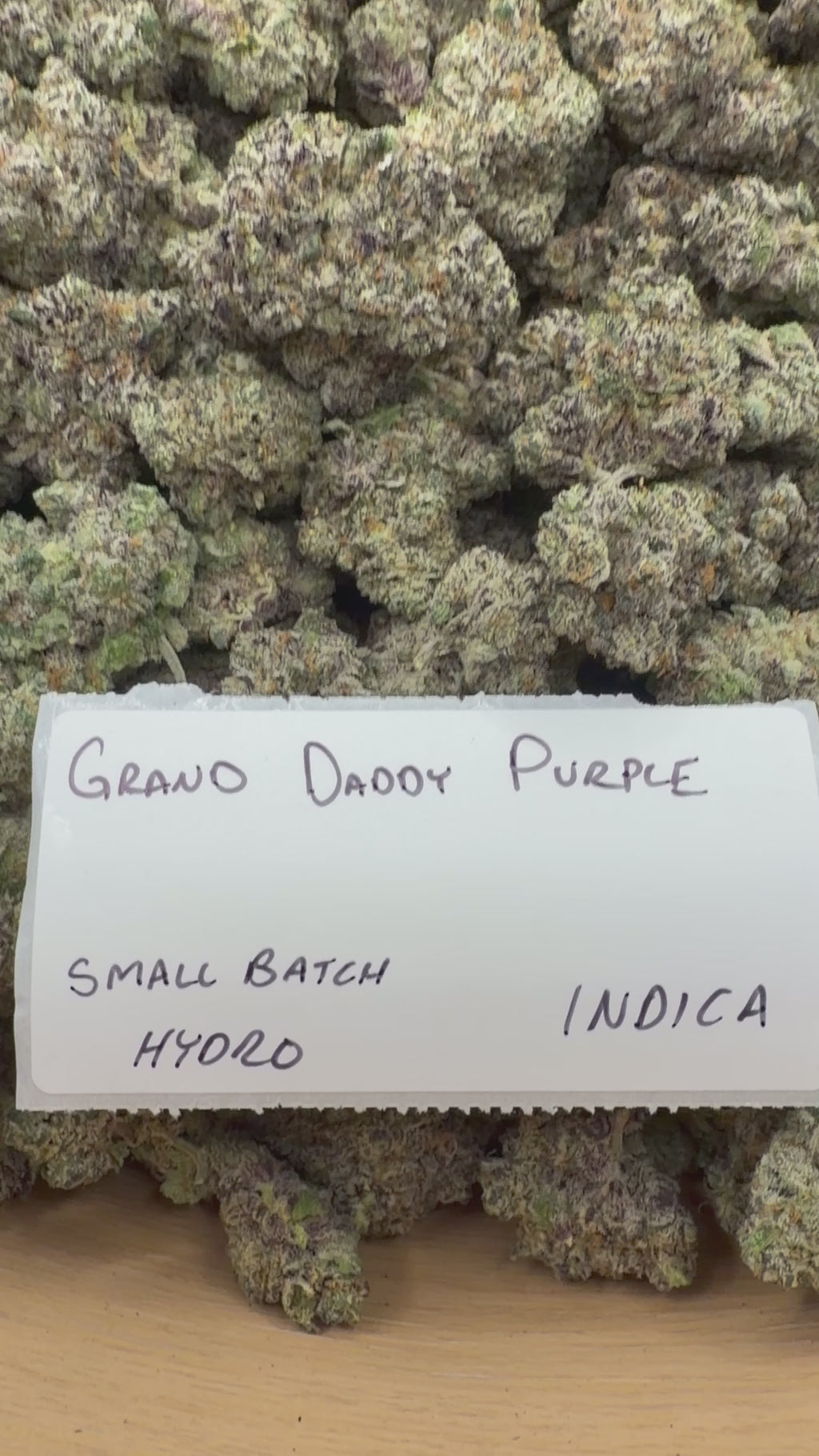 TOP SHELF EXOTICS