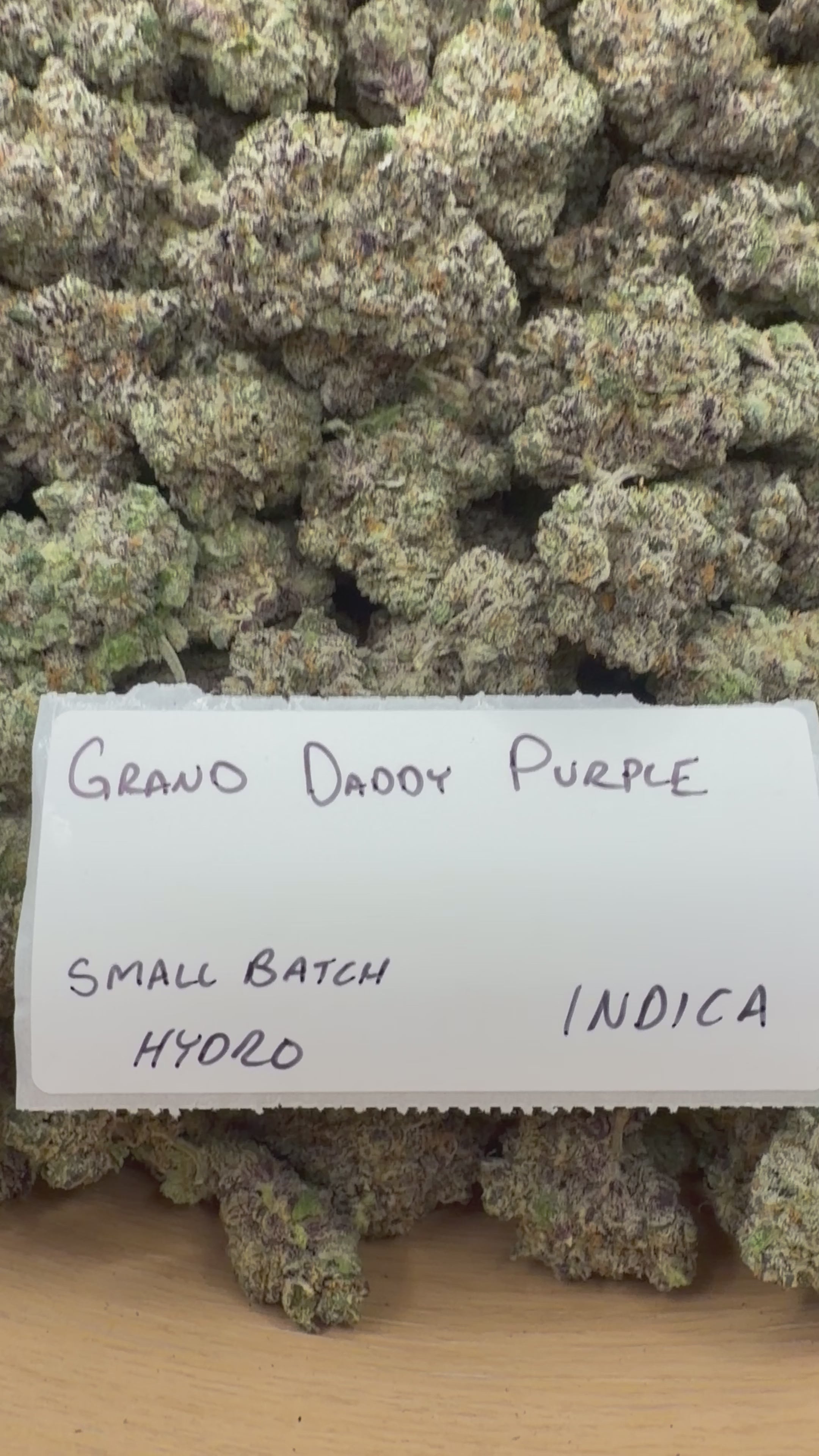 TOP SHELF EXOTICS