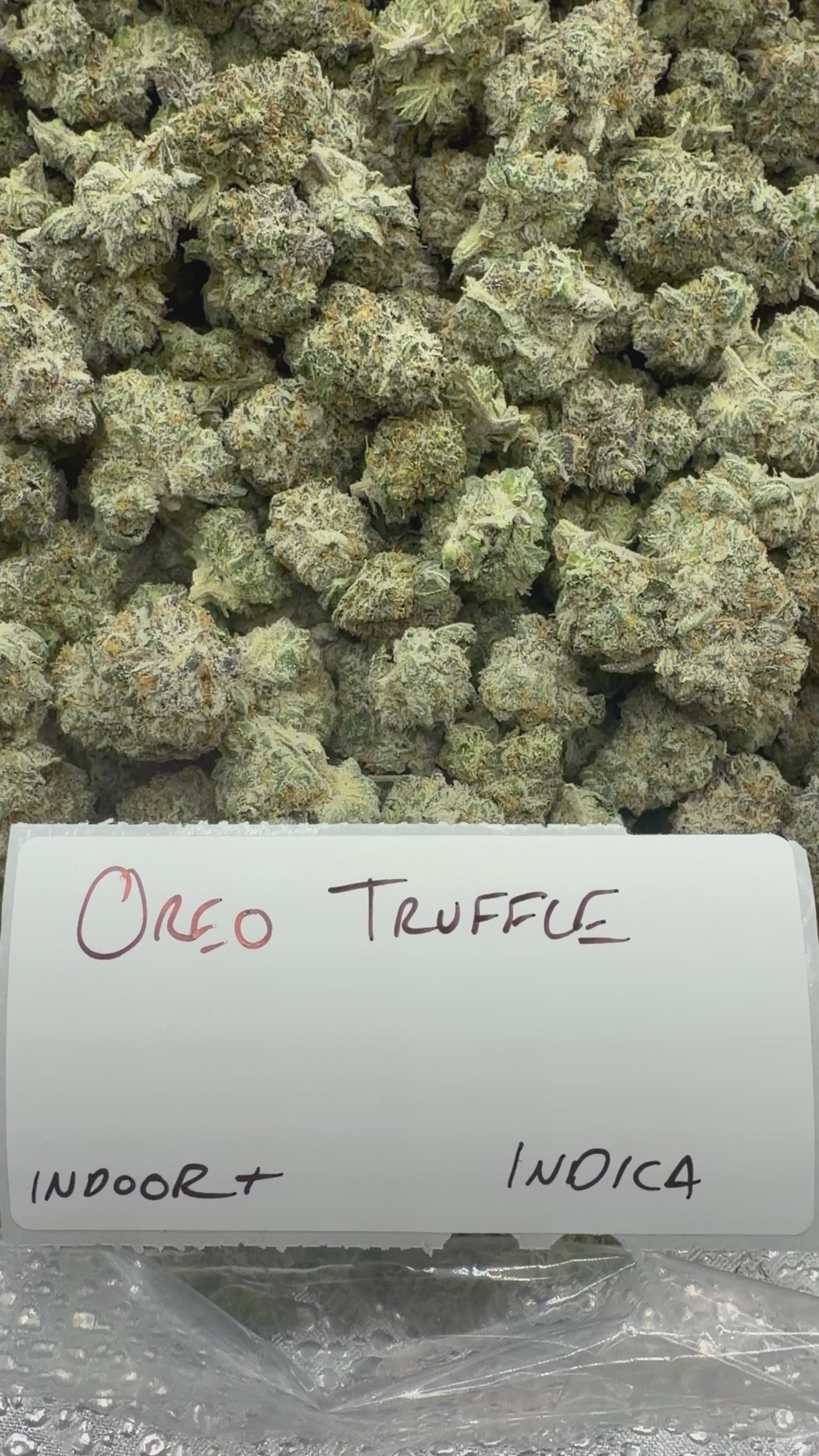 J Litty’s Weekly Deals!