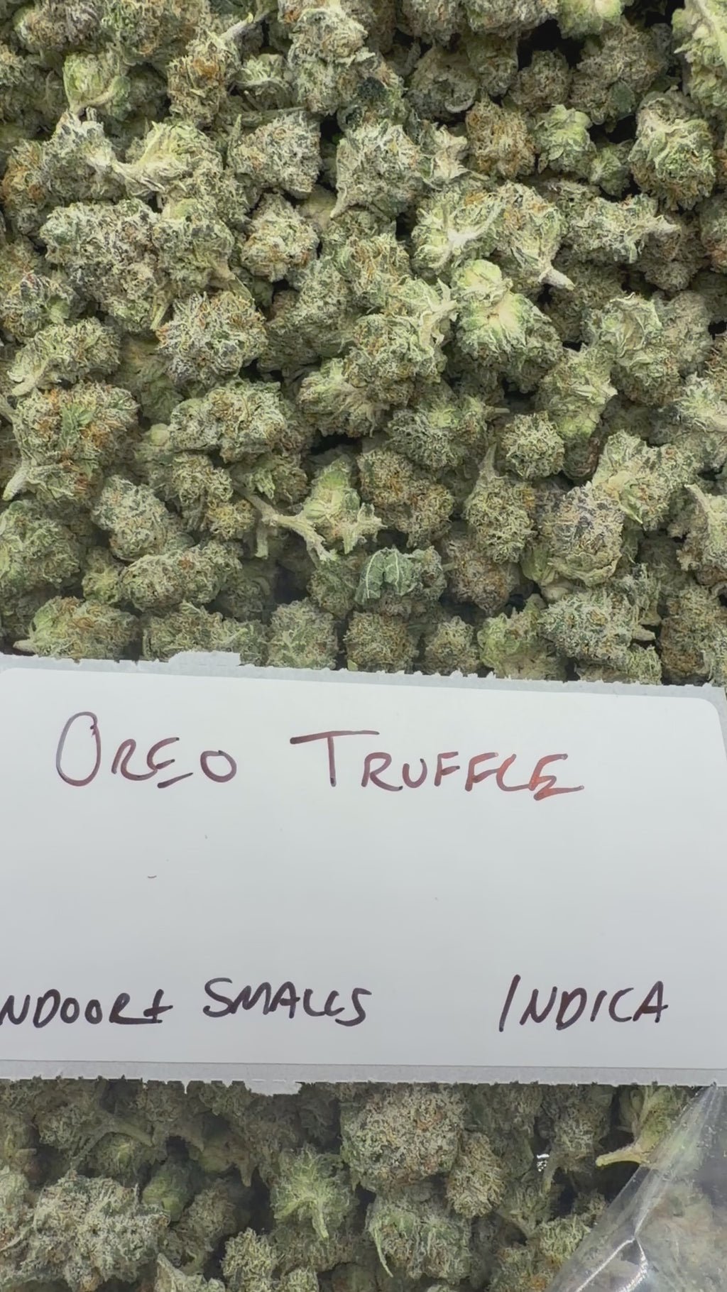 *SALE* SMALLS AND MEDIUMS (NO CODE NEEDED)