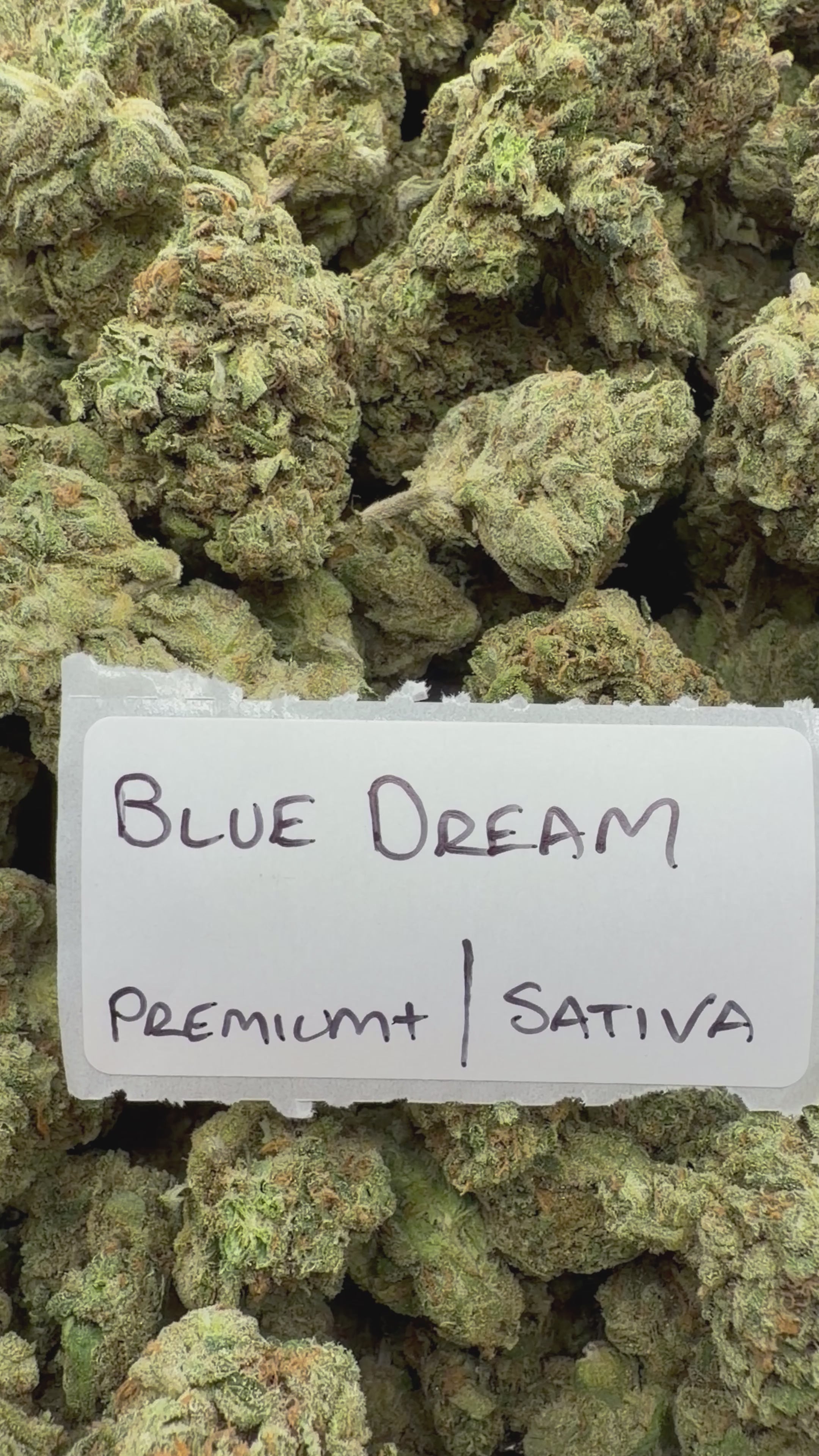 J Litty’s Weekly Deals!