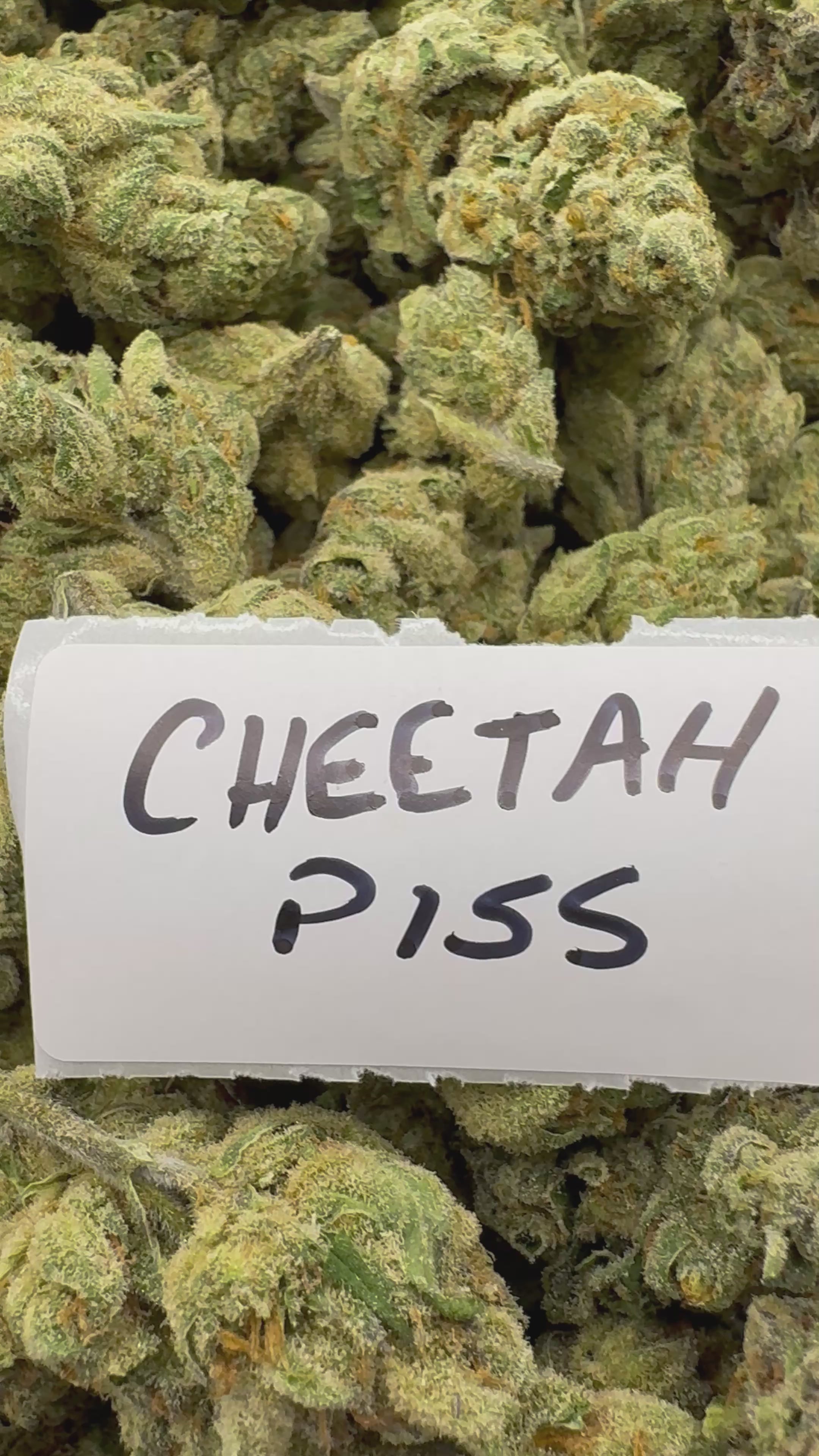 J Litty’s Weekly Deals!