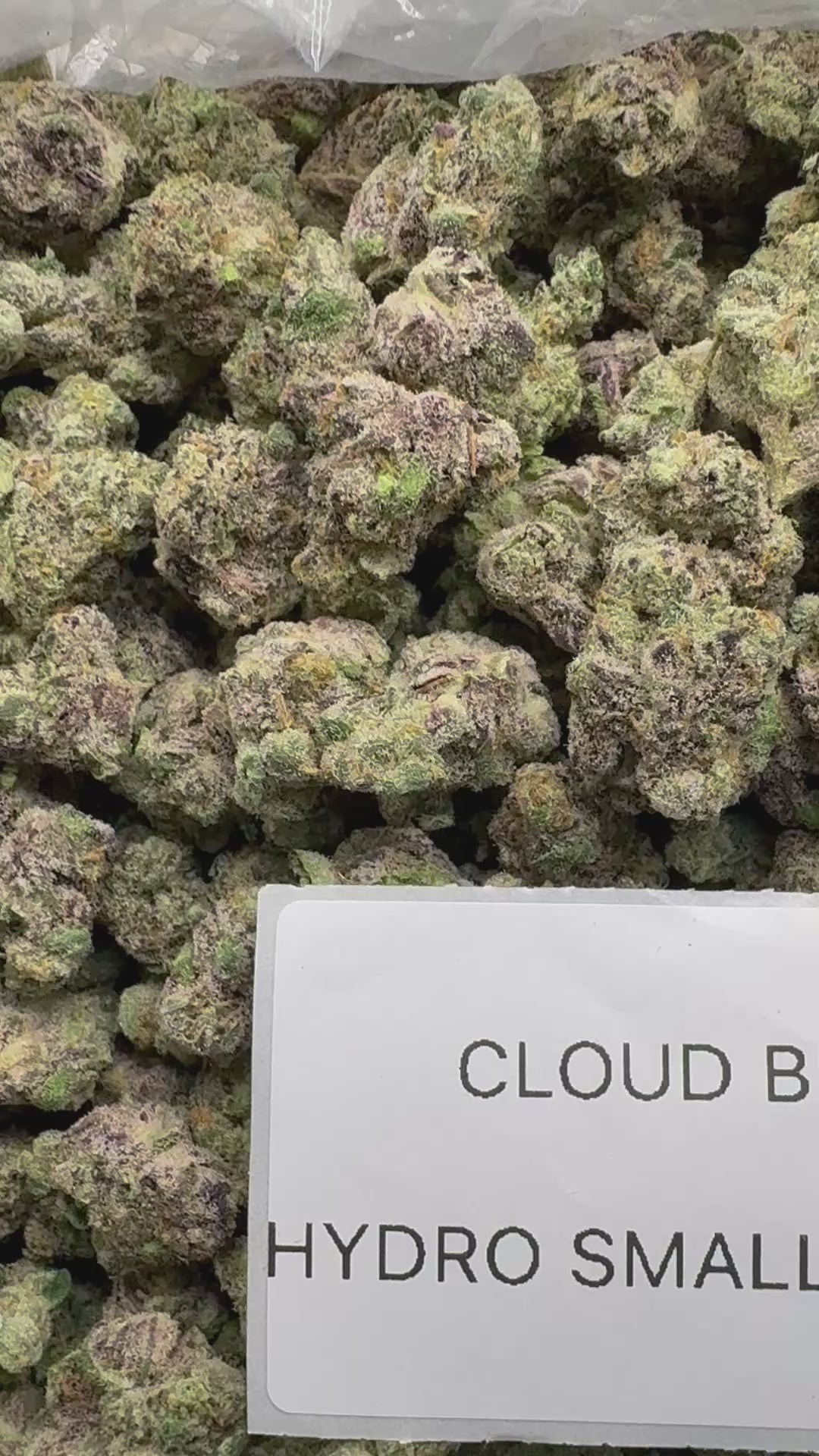 *SALE* SMALLS AND MEDIUMS (DISCOUNT CODES DO NOT APPLY)