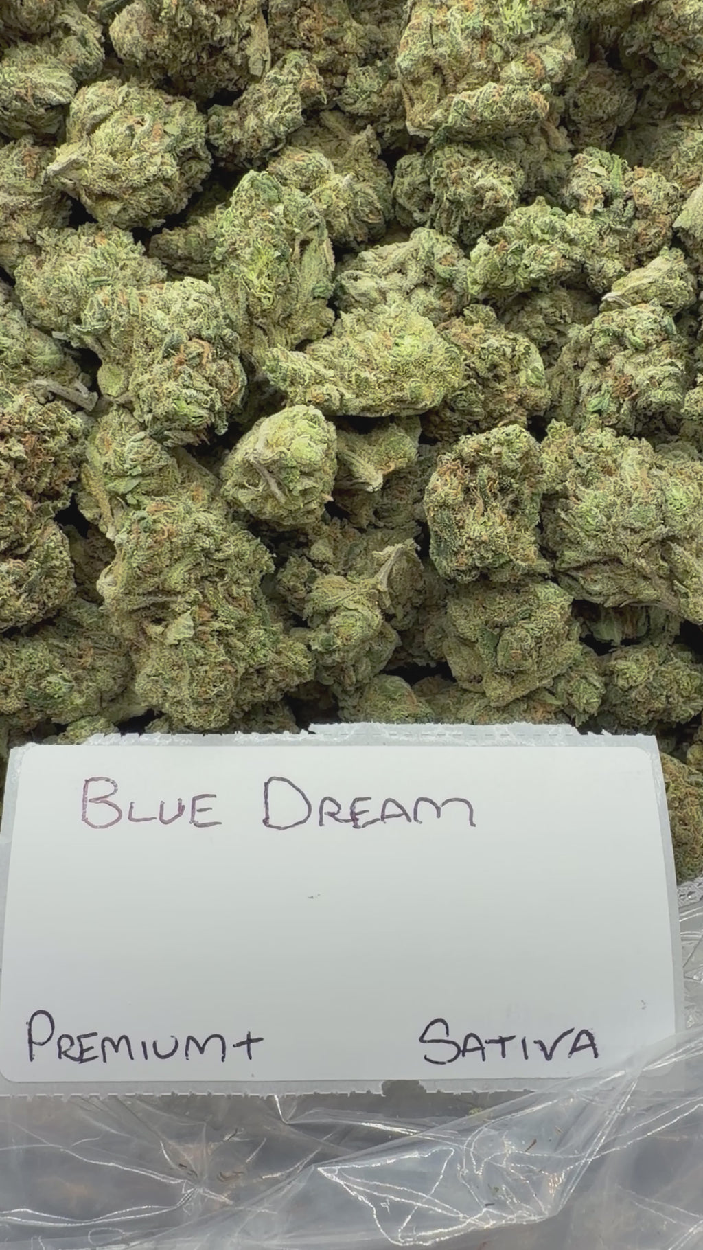 J Litty’s Weekly Deals!