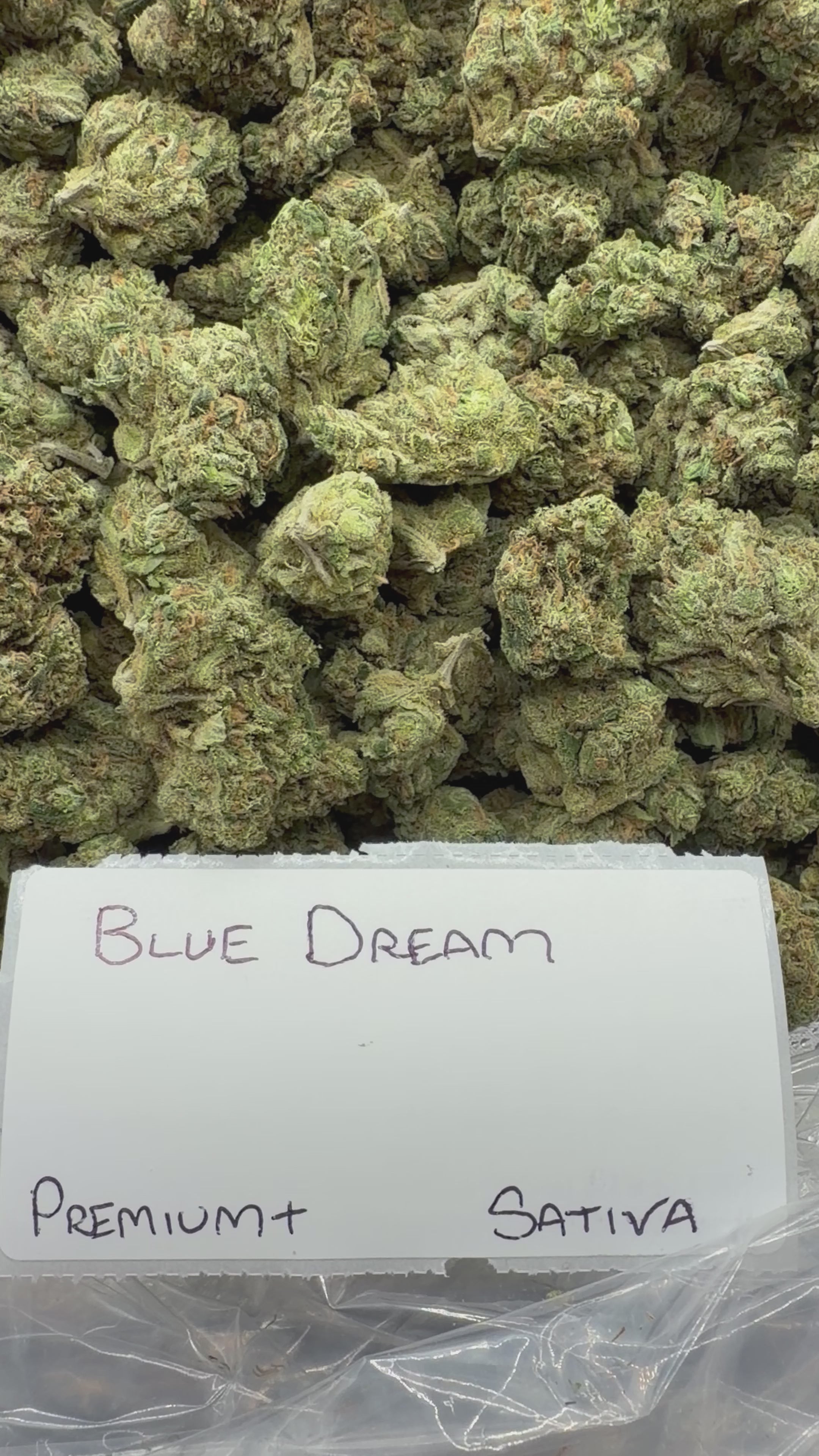 J Litty’s Weekly Deals!