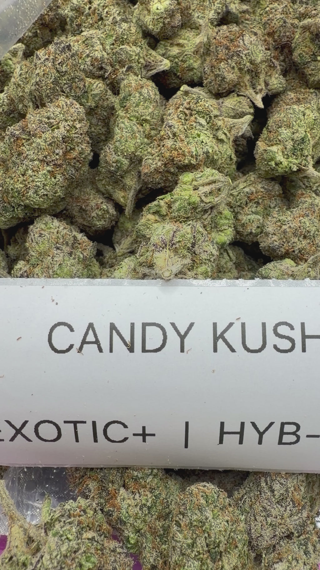 TOP SHELF EXOTICS