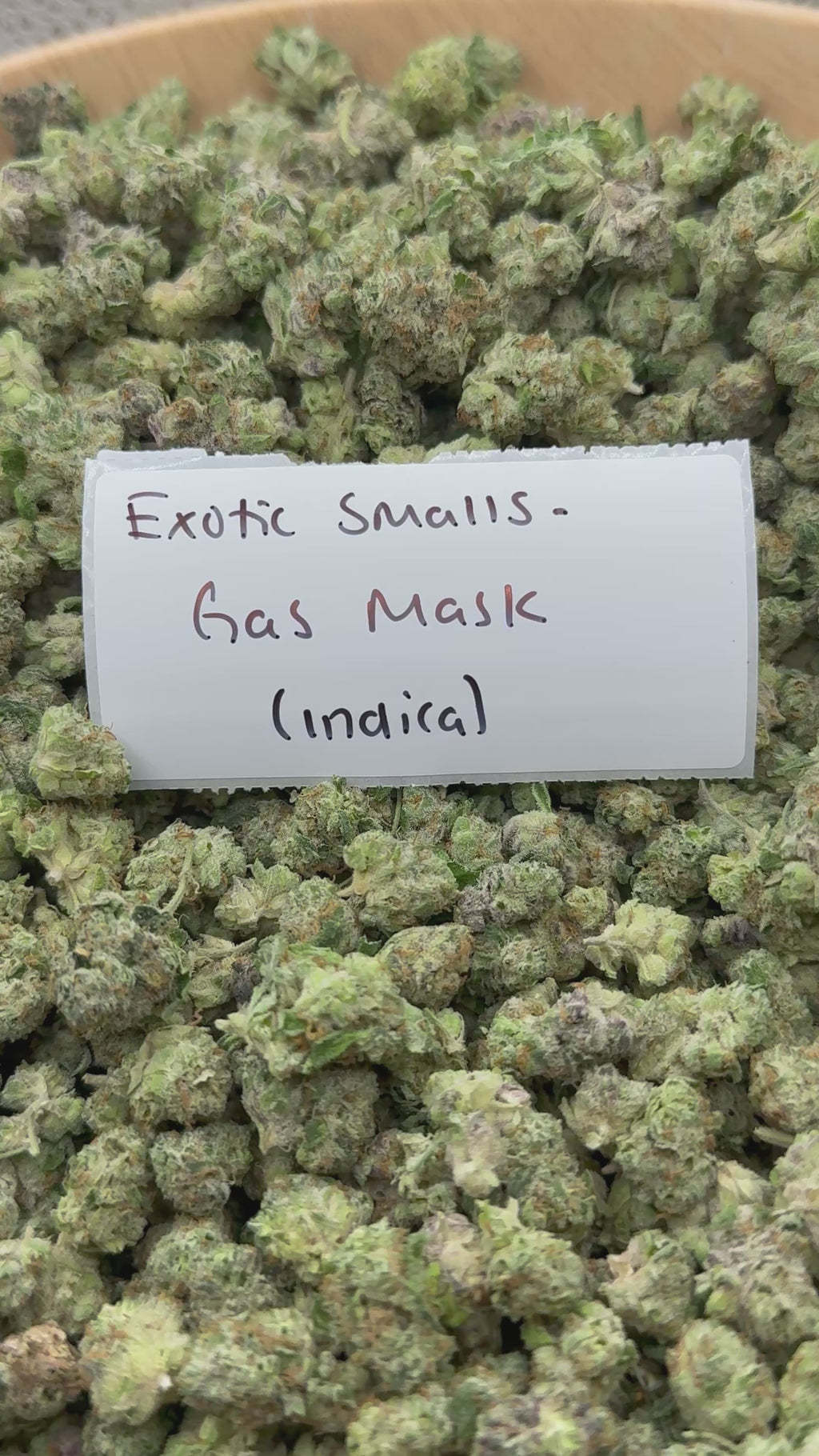 *SALE* SMALLS AND MEDIUMS (NO CODE NEEDED)