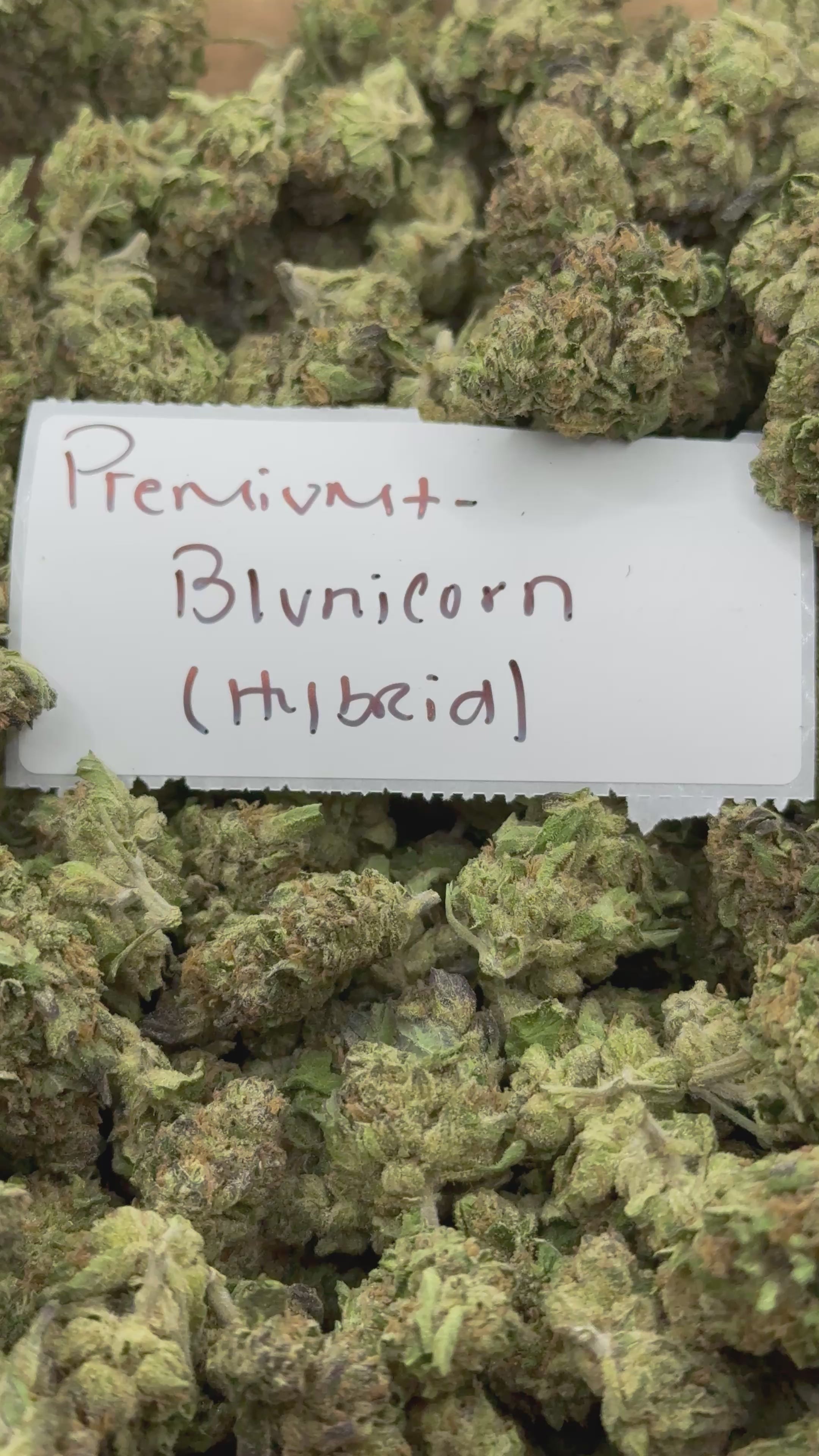 J Litty’s Weekly Deals!