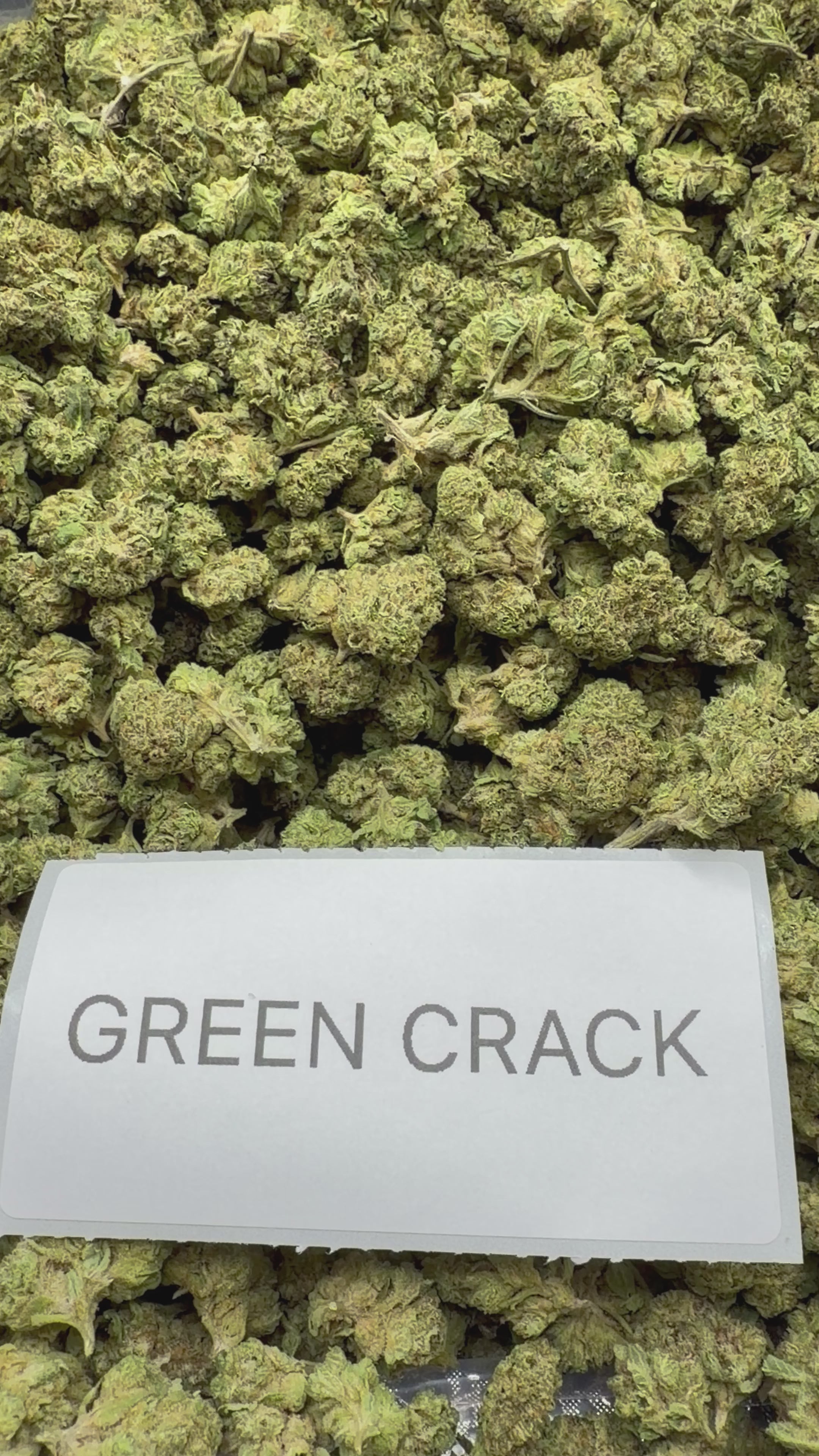 *SALE* SMALLS AND MEDIUMS