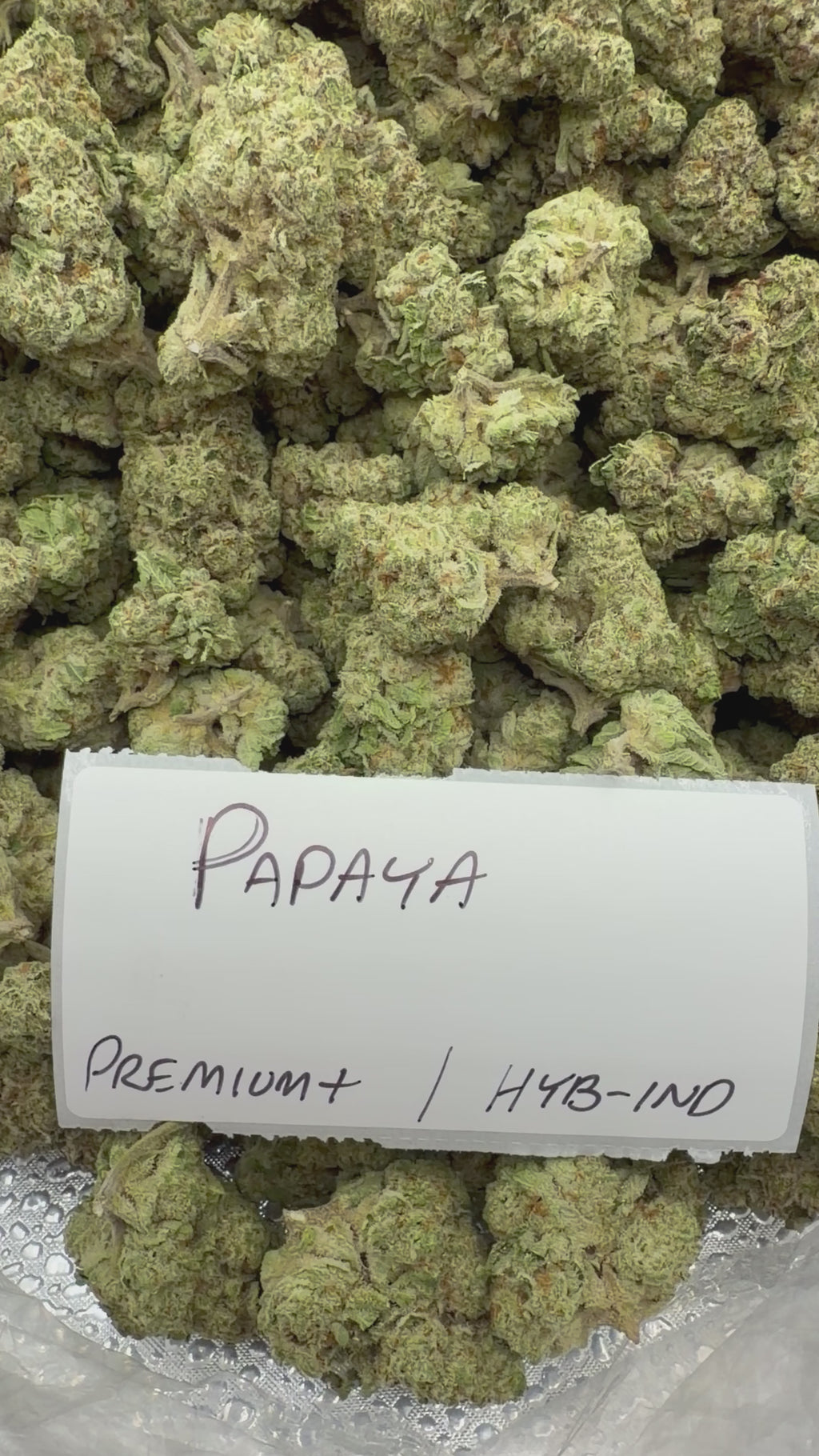 J Litty’s Weekly Deals!