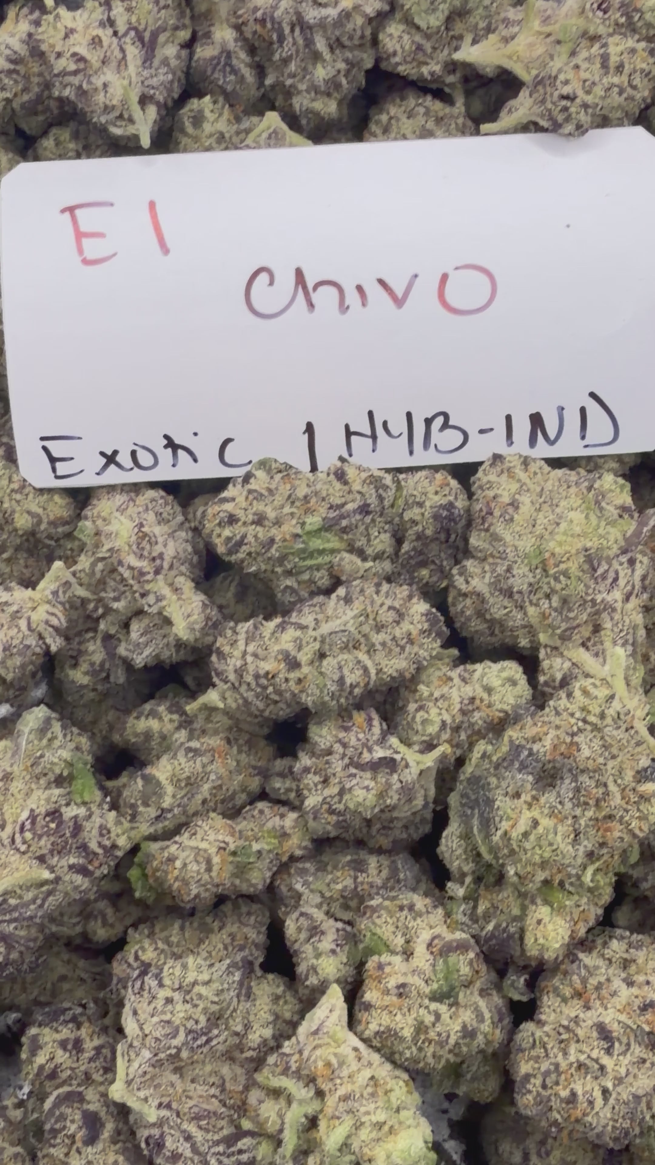 ***SALE*** QPSKIIIIIIS!