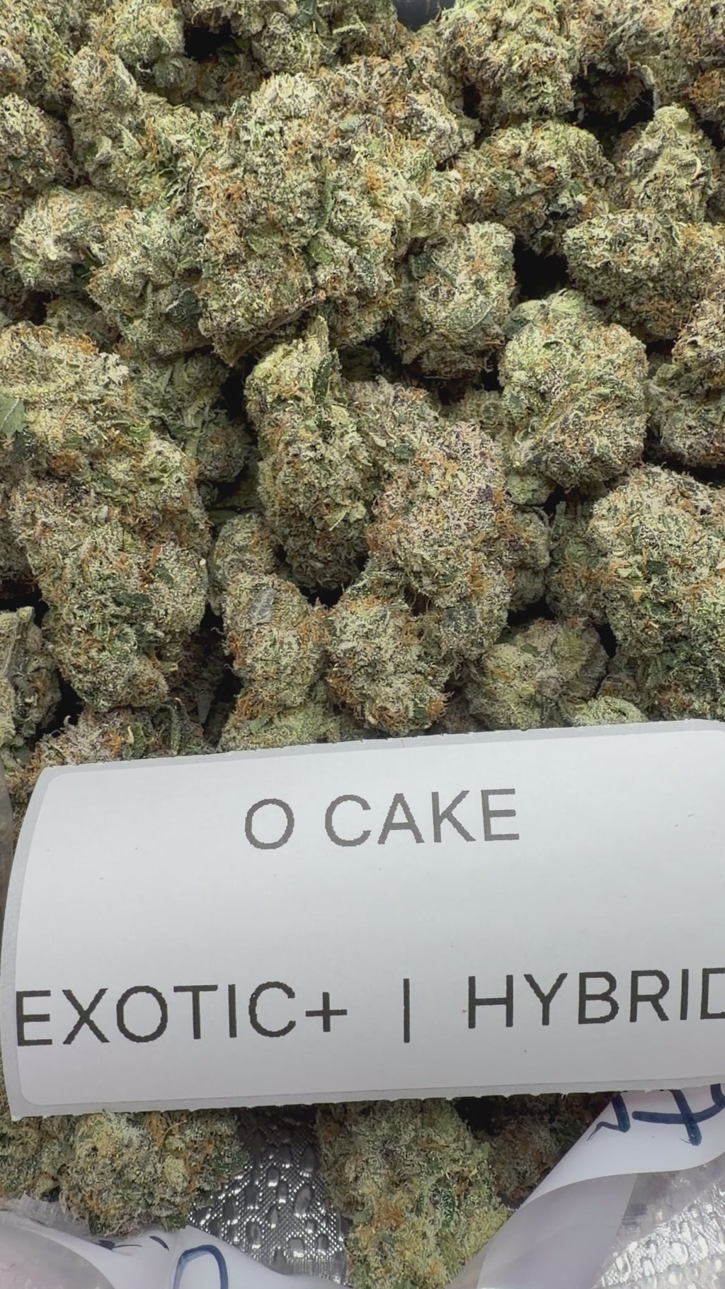TOP SHELF EXOTICS