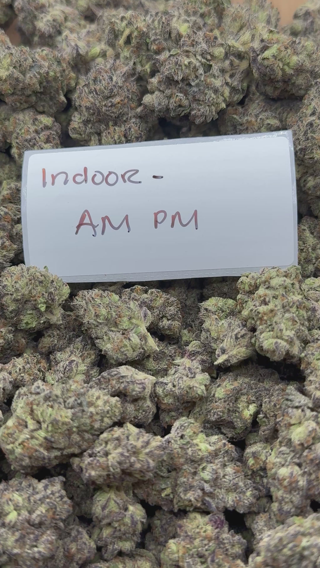 J Litty’s Weekly Deals!