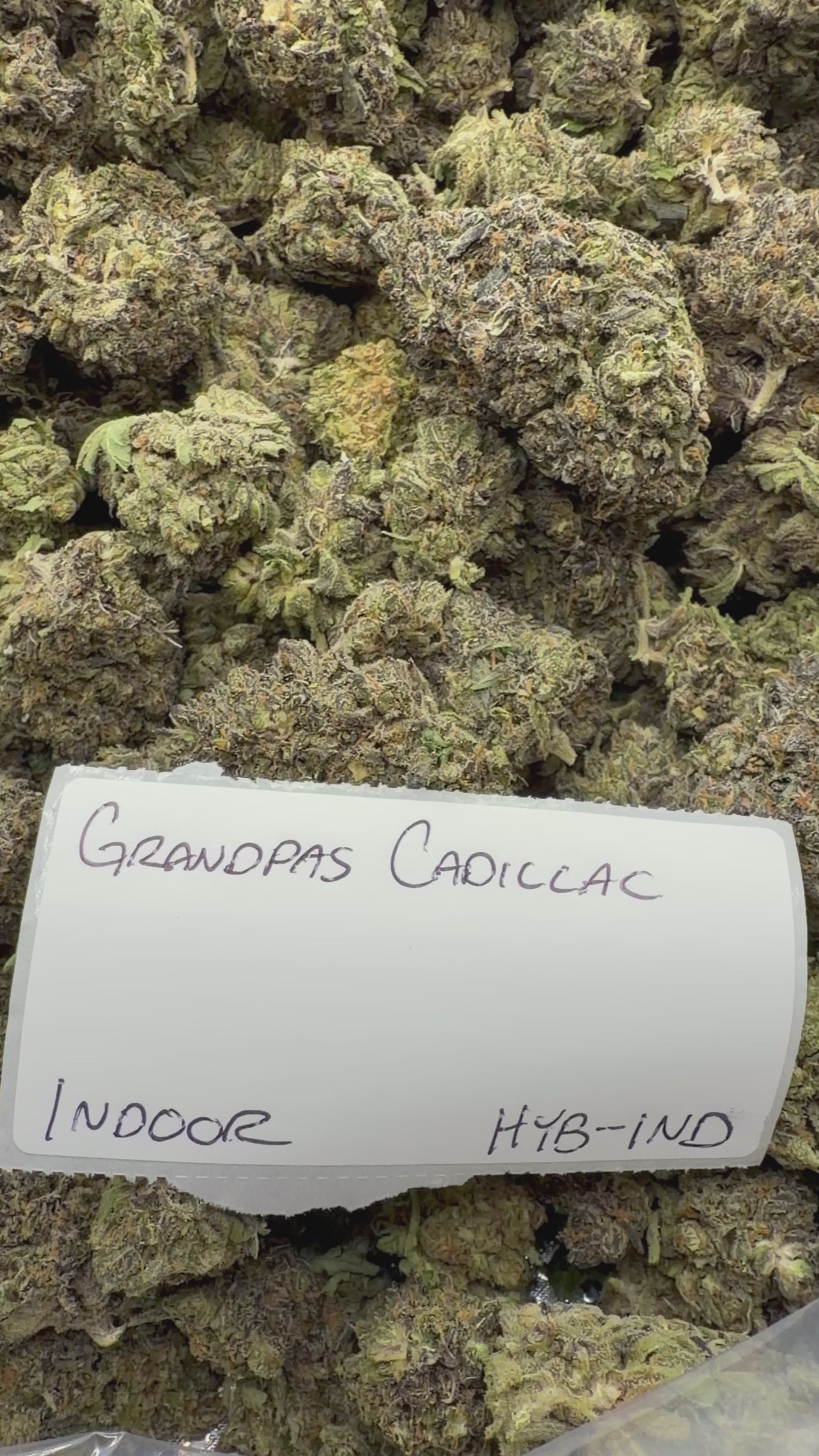 J Litty’s Weekly Deals!