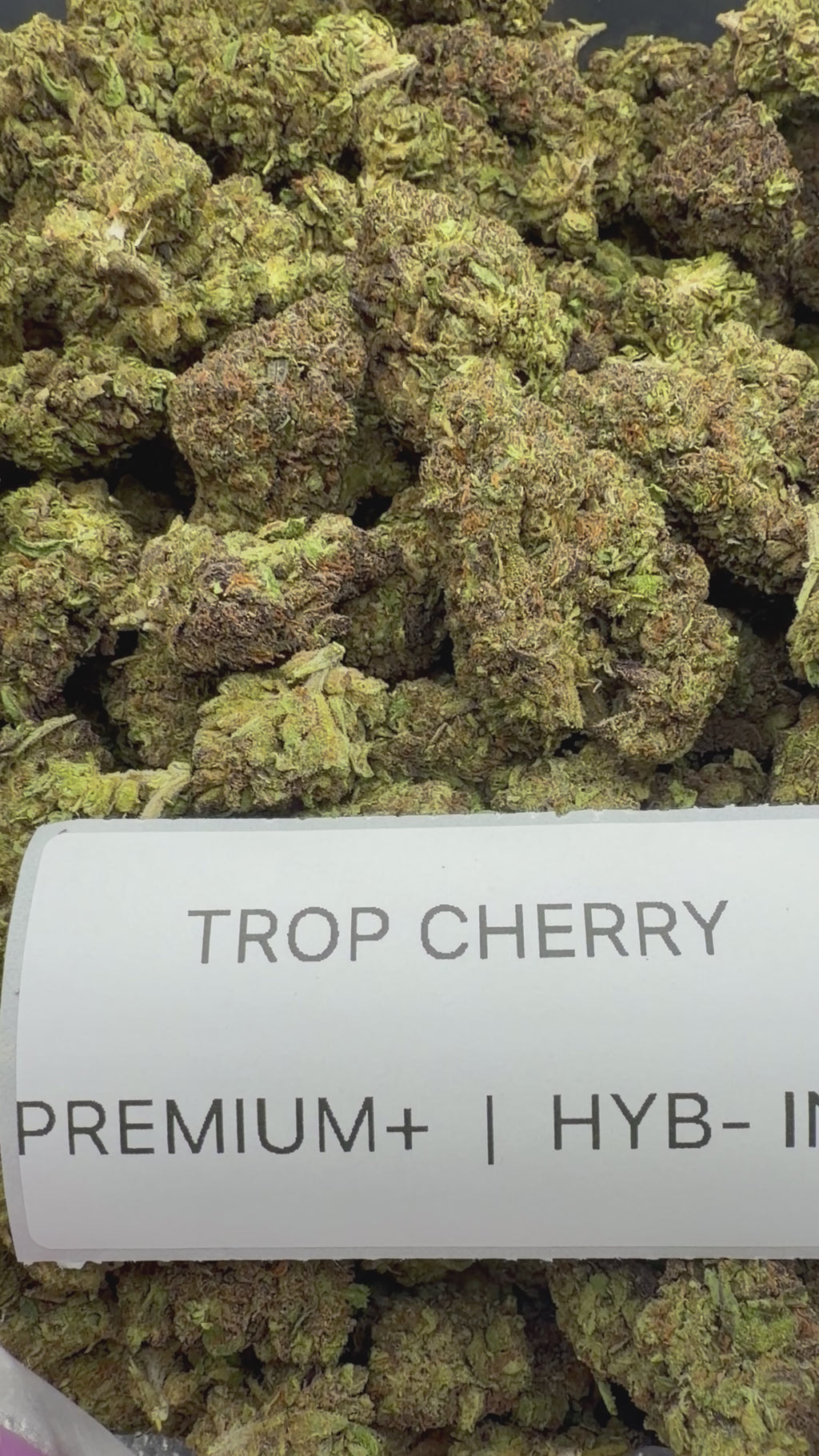 J Litty’s Weekly Deals!