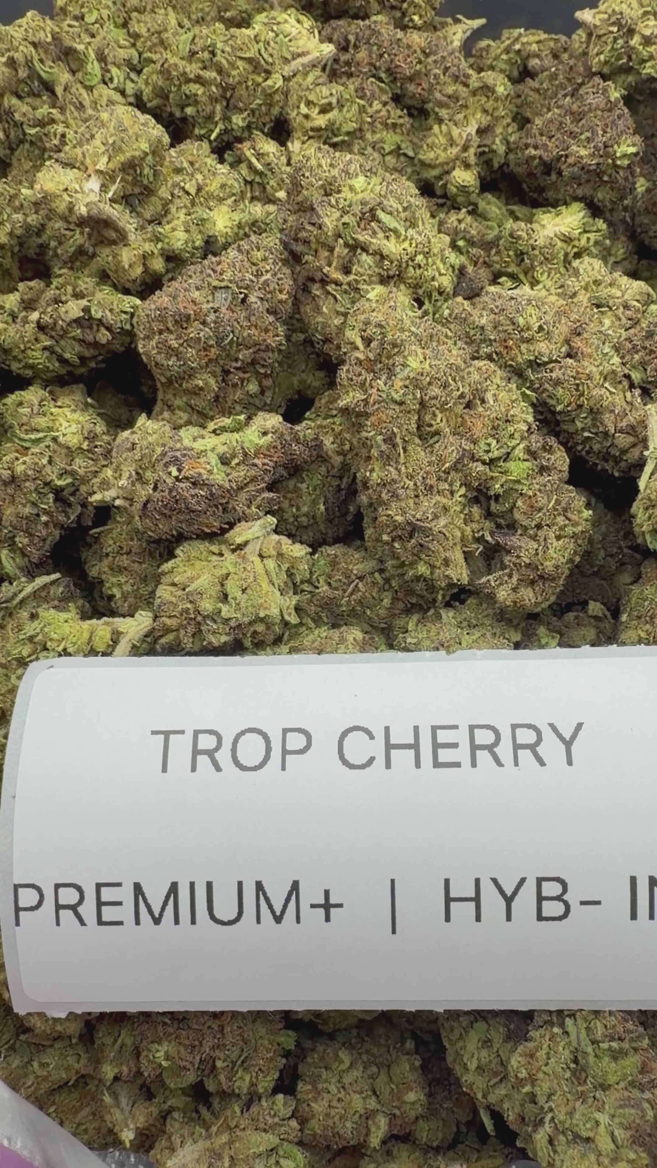 J Litty’s Weekly Deals!