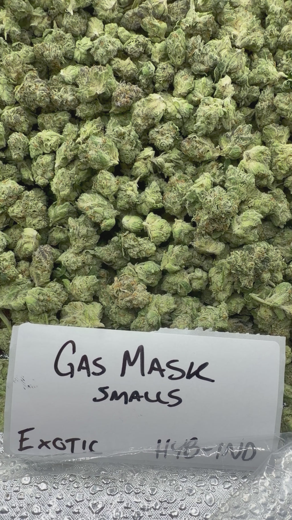 *SALE* SMALLS AND MEDIUMS (DISCOUNT CODES DO NOT APPLY)