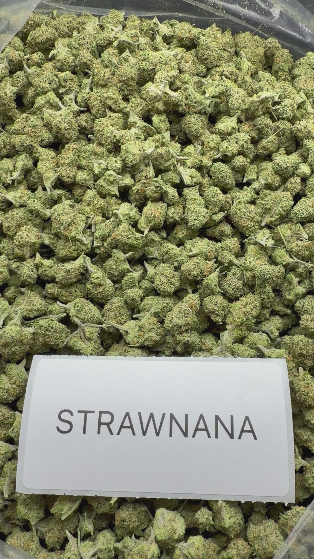 *SALE* SMALLS AND MEDIUMS