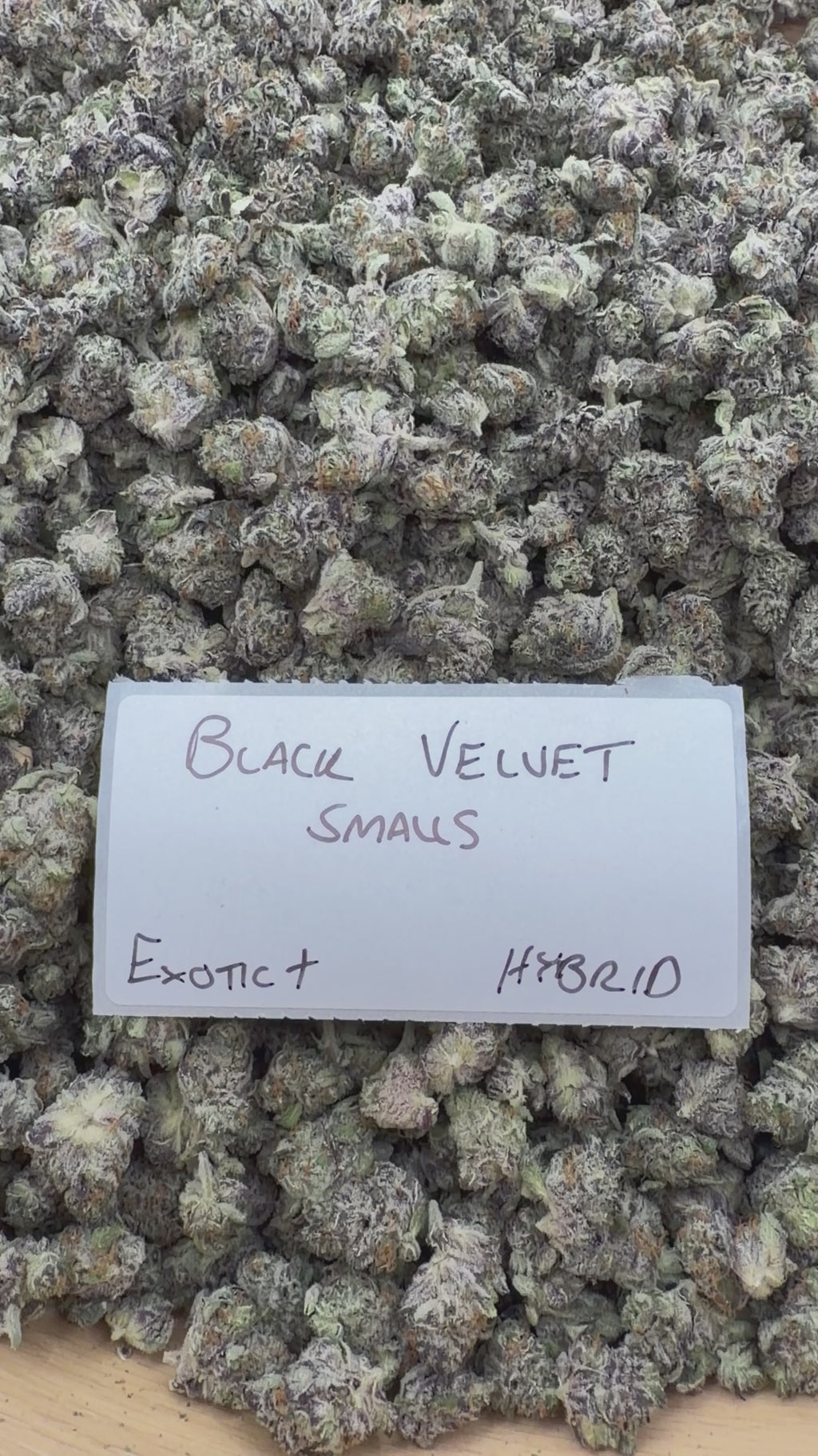 *SALE* SMALLS AND MEDIUMS (DISCOUNT CODES DO NOT APPLY)