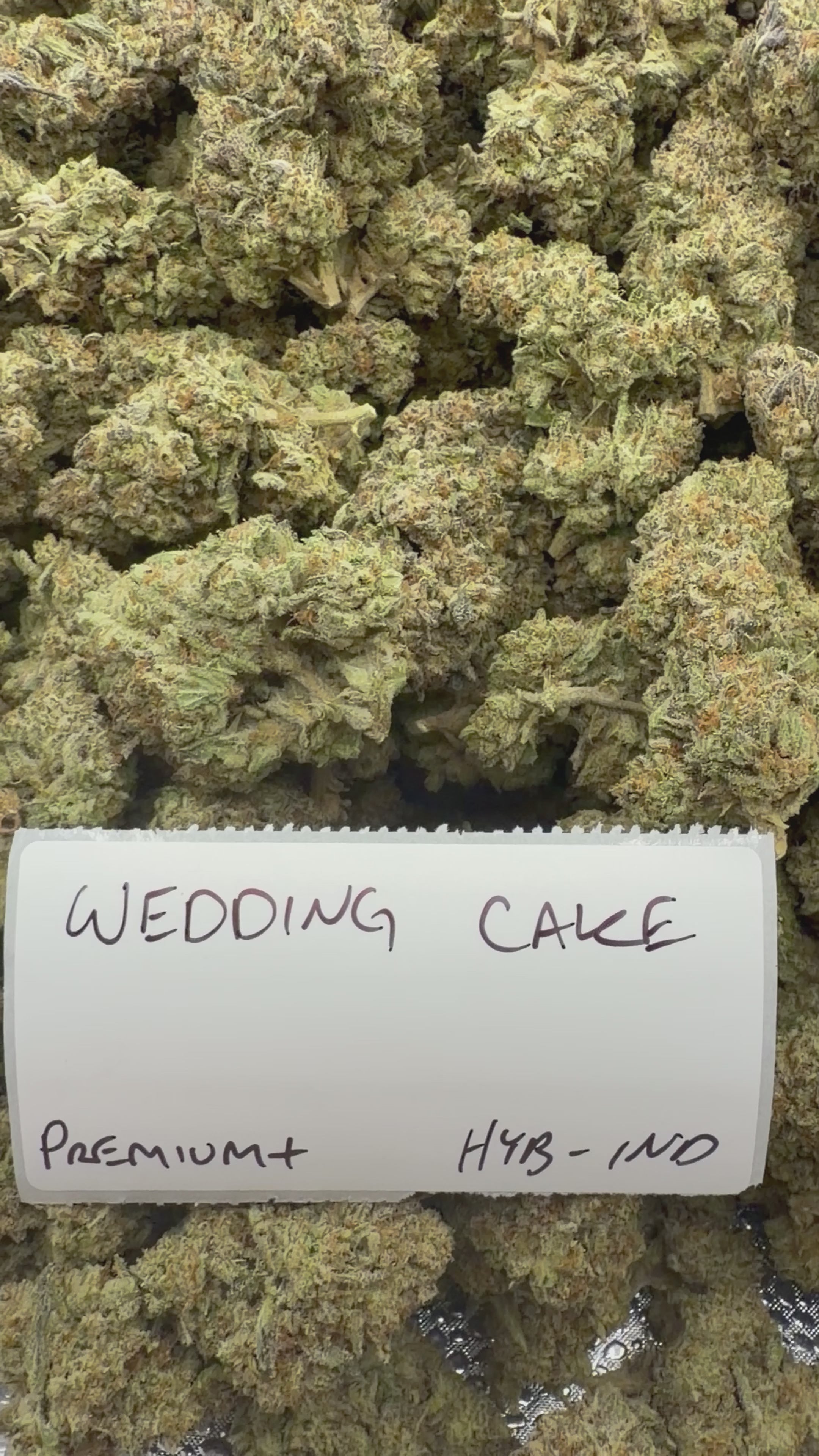 J Litty’s Weekly Deals!