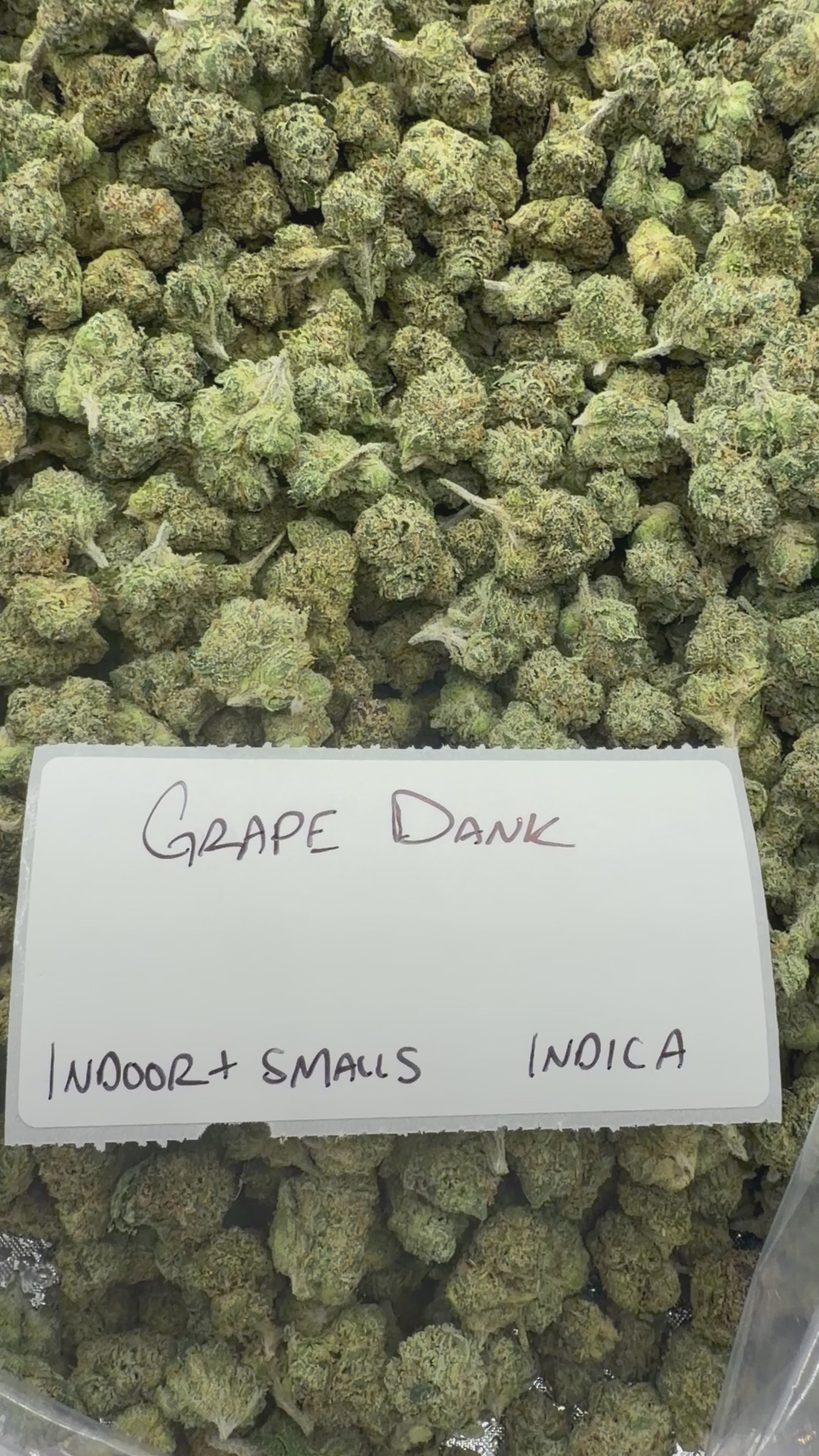 *SALE* SMALLS AND MEDIUMS (NO CODE NEEDED)