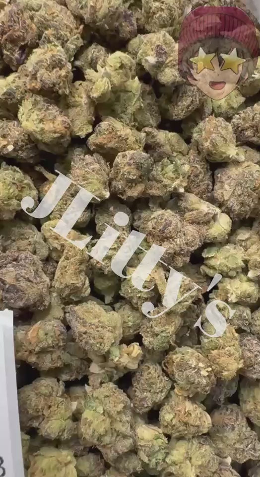 *SALE* SMALLS AND MEDIUMS