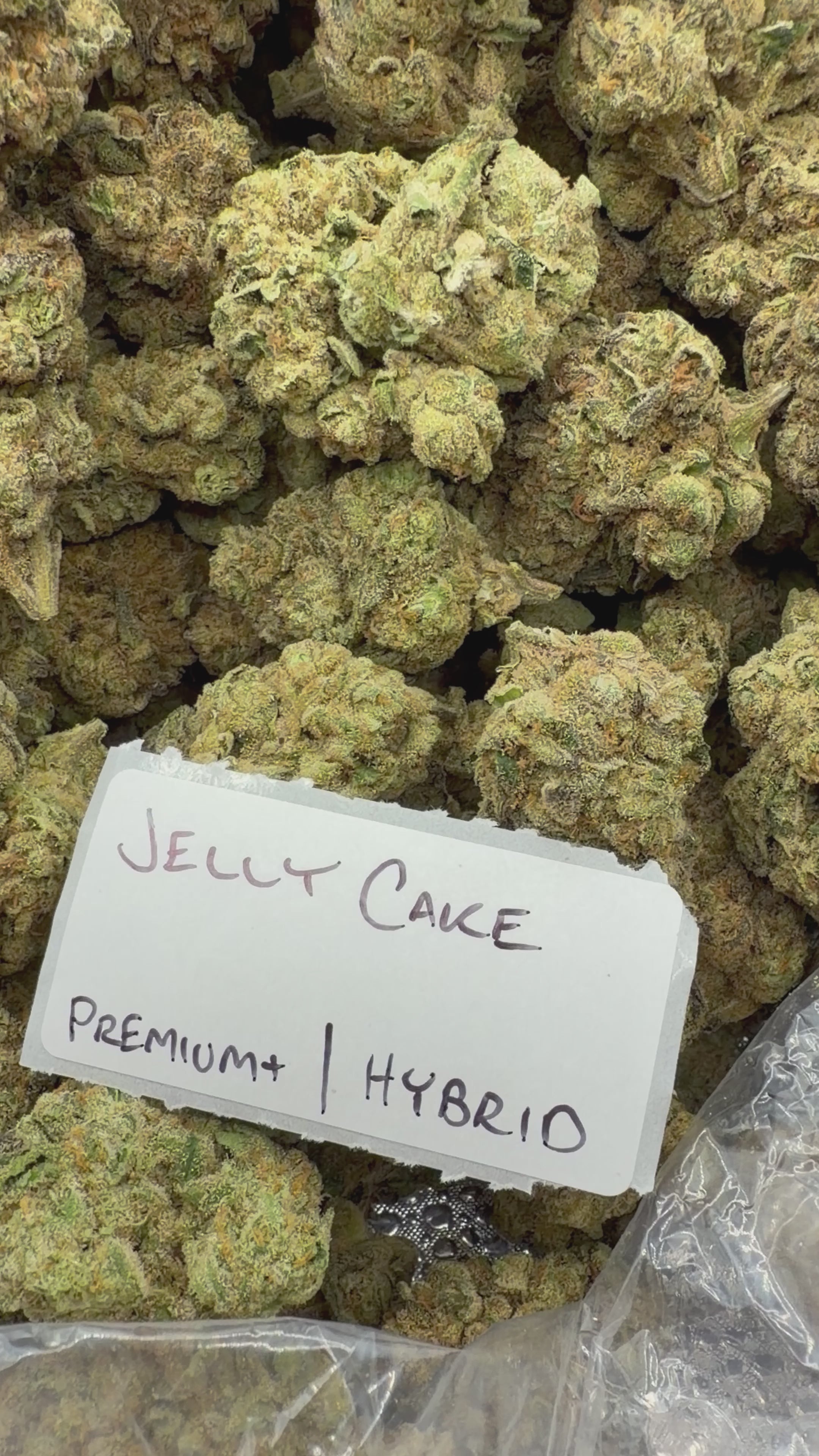 J Litty’s Weekly Deals!