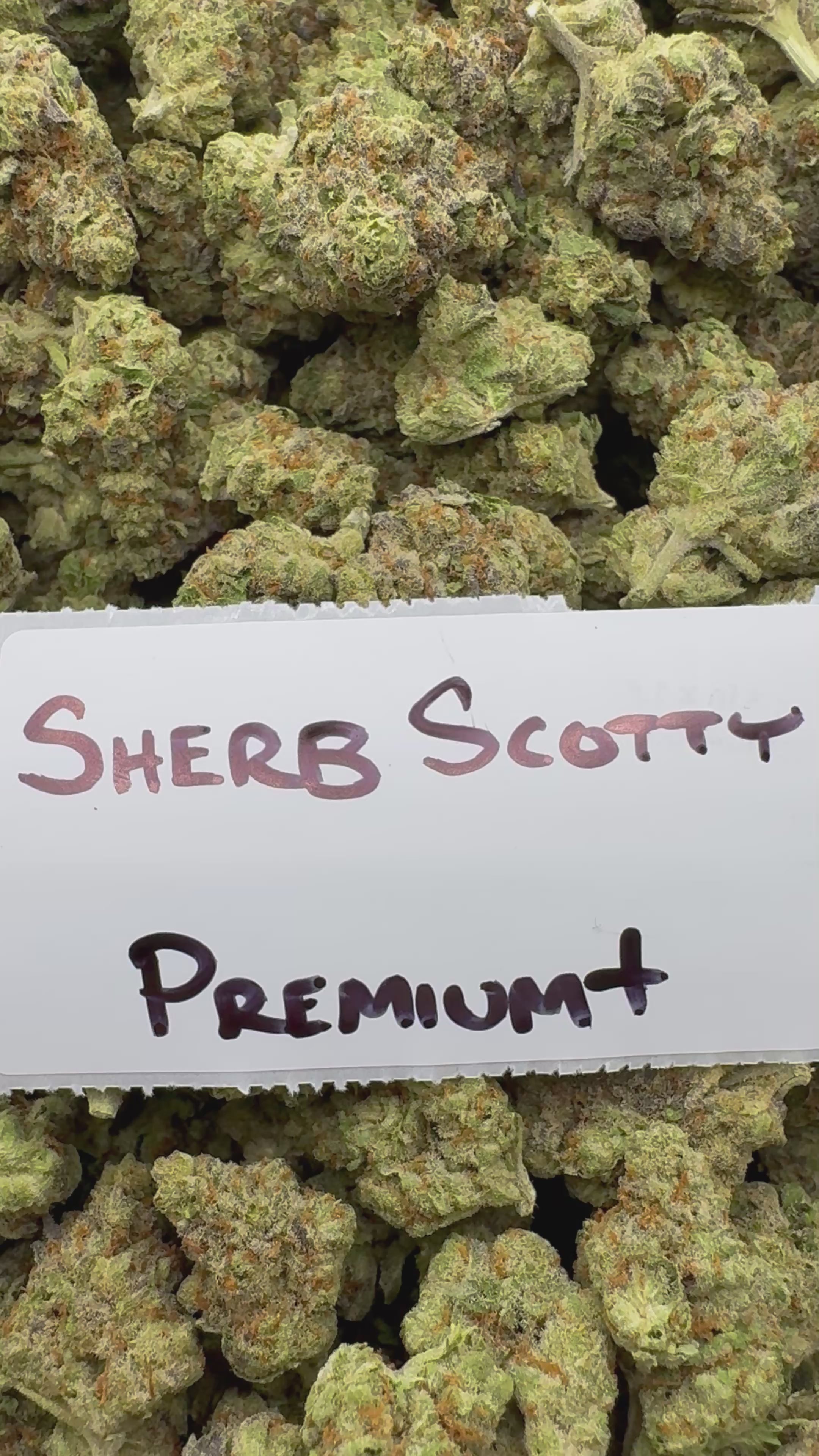 J Litty’s Weekly Deals!