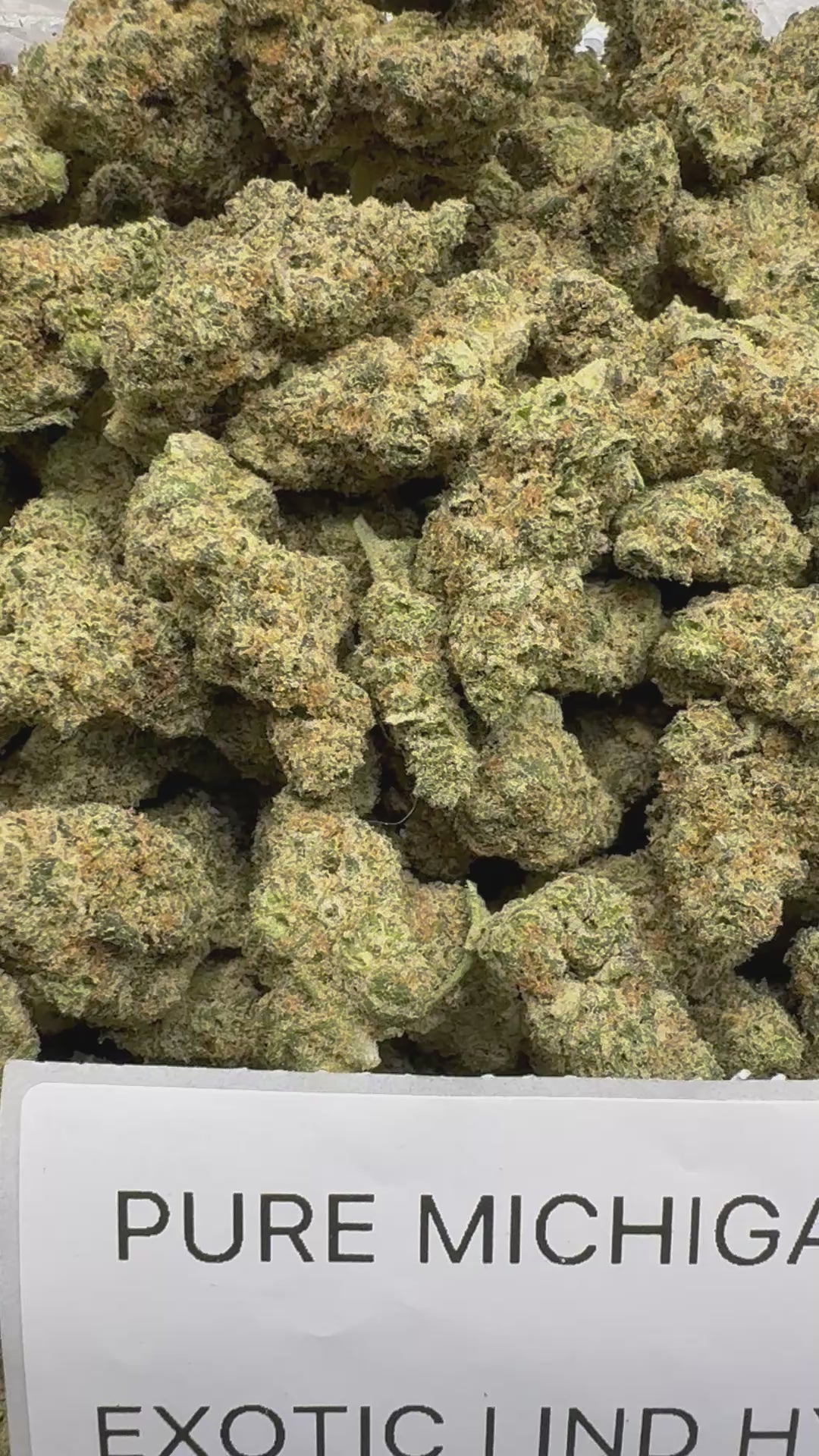 J Litty’s Weekly Deals!