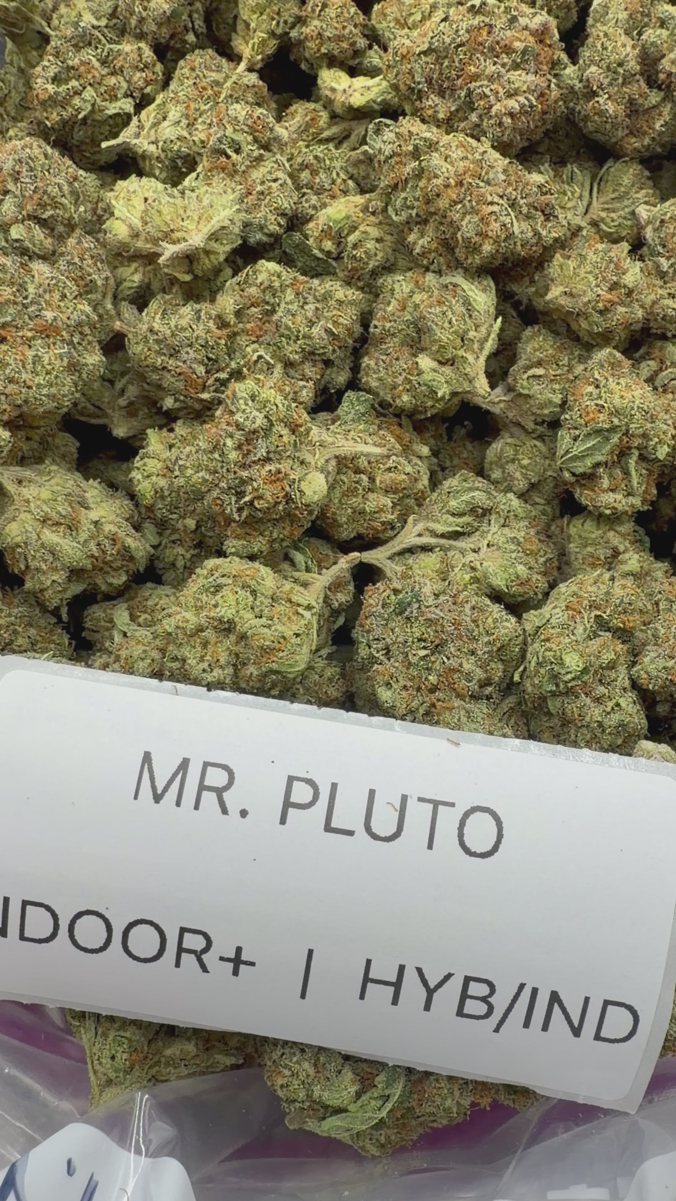 J Litty’s Weekly Deals!