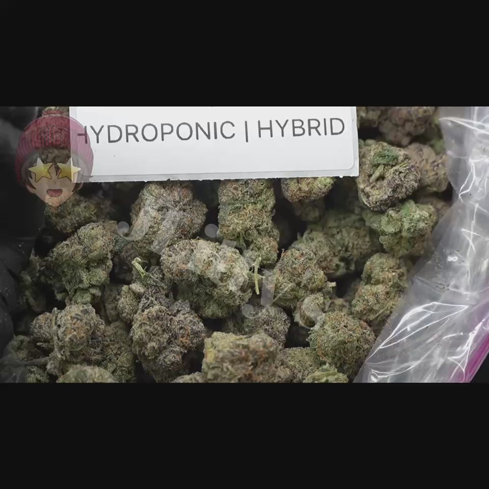 TOP SHELF EXOTICS