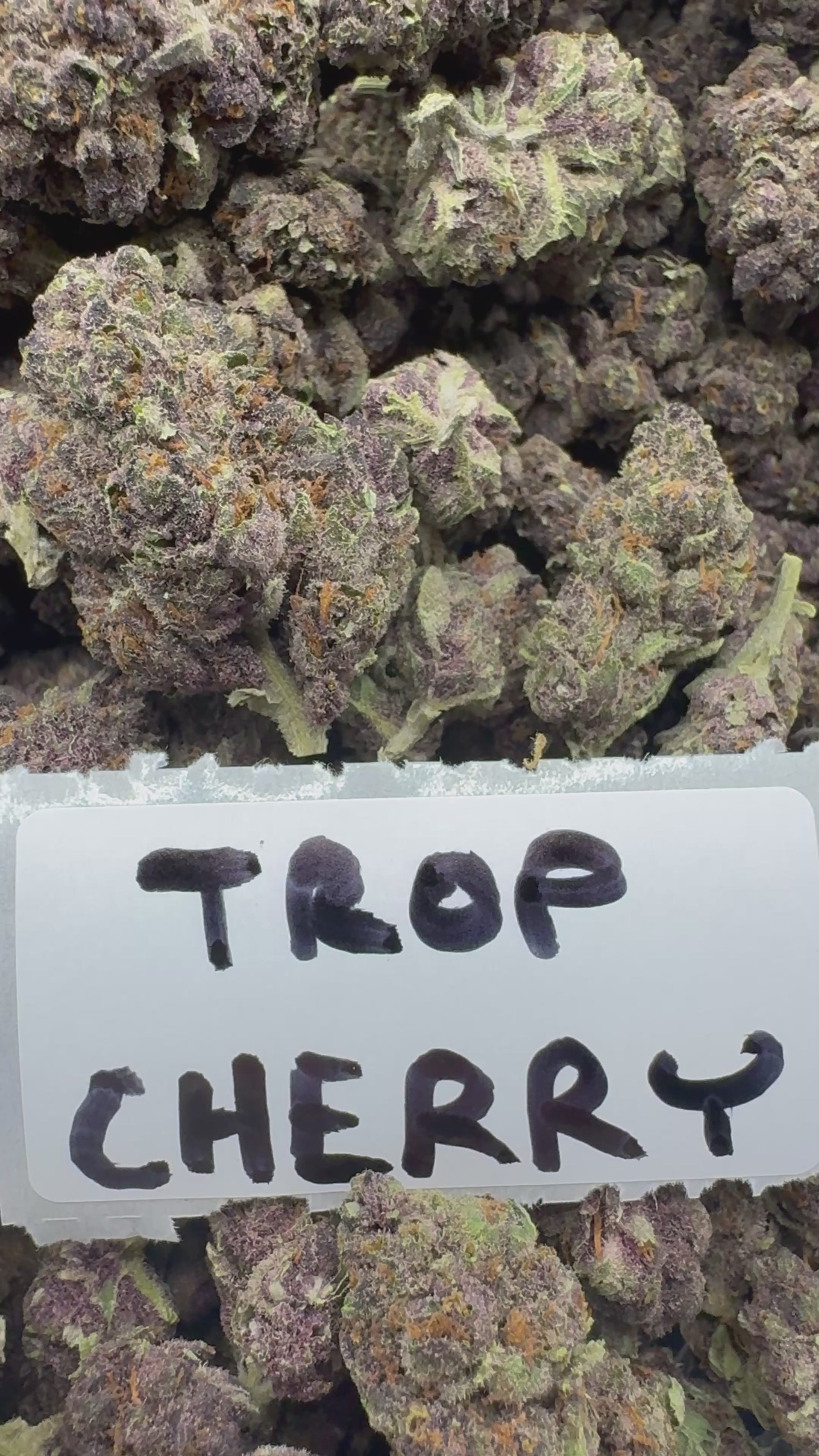 SUPER+ - Trop Cherry