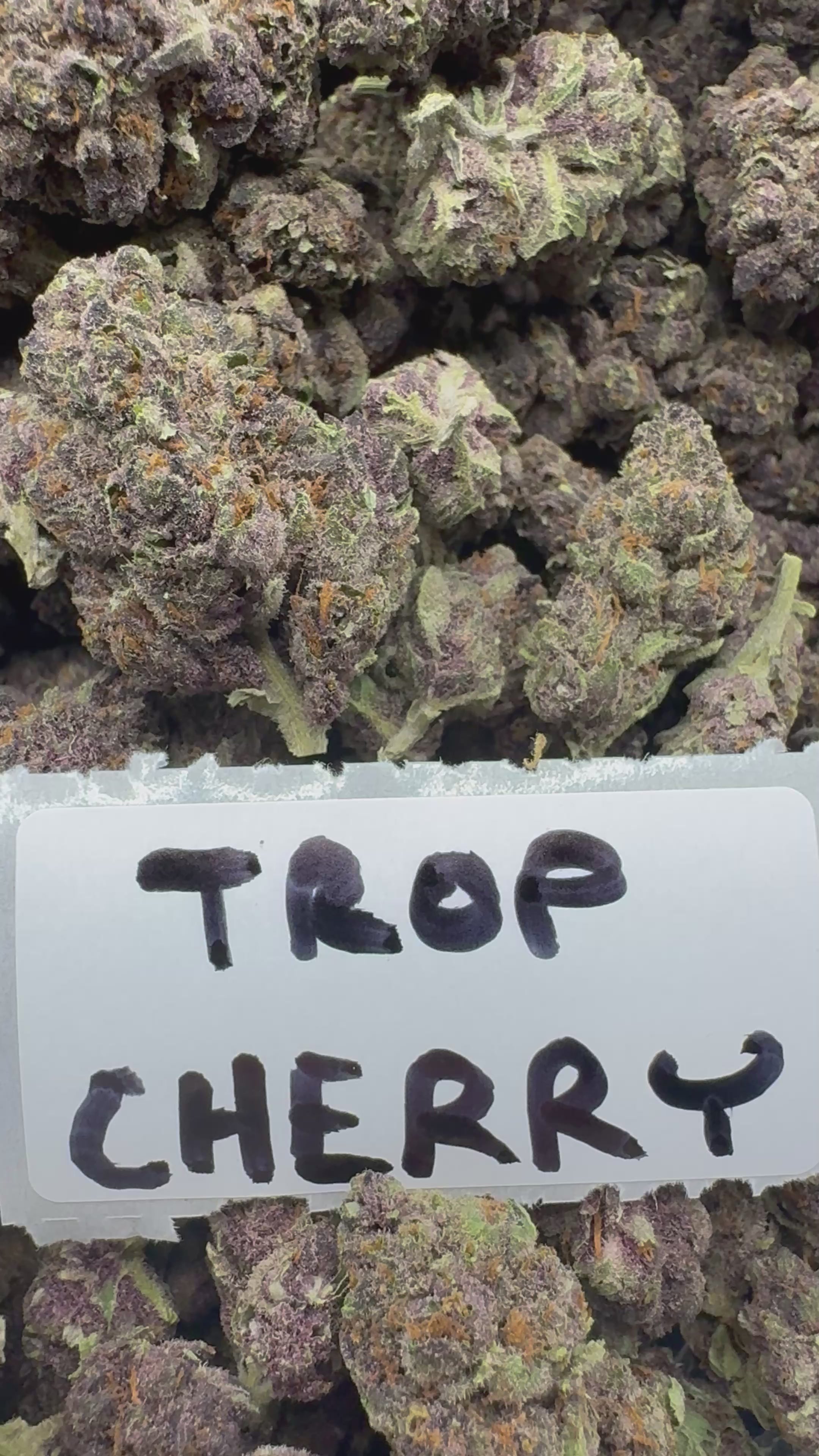 SUPER FLOWERS