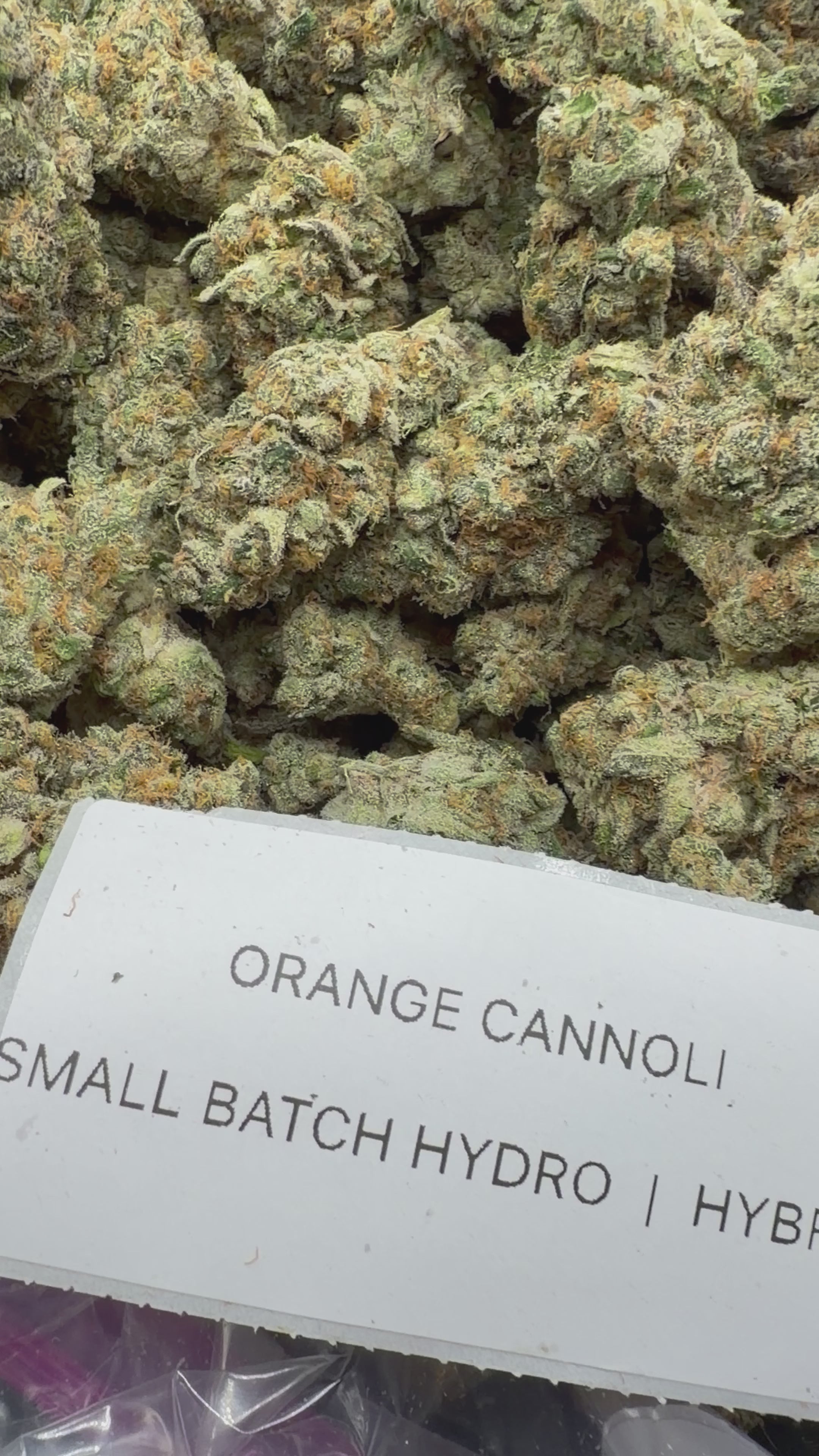 TOP SHELF EXOTICS