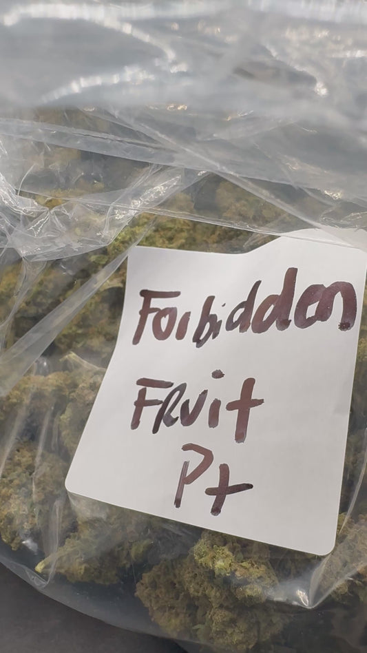 Forbidden Fruit (Premium+)