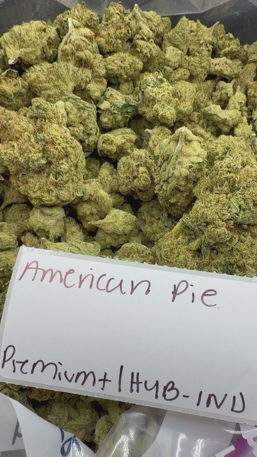 J Litty’s Weekly Deals!