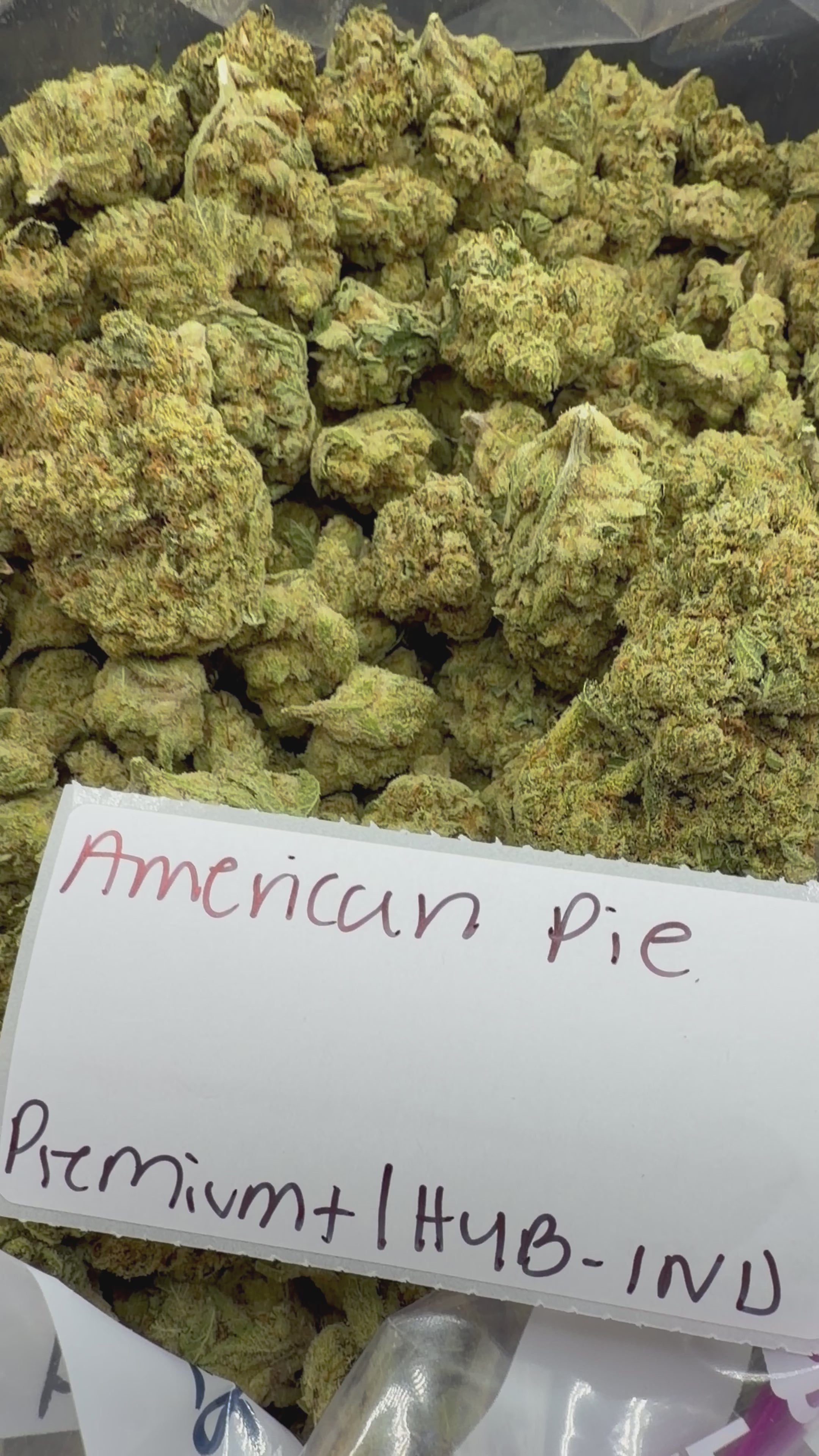 J Litty’s Weekly Deals!