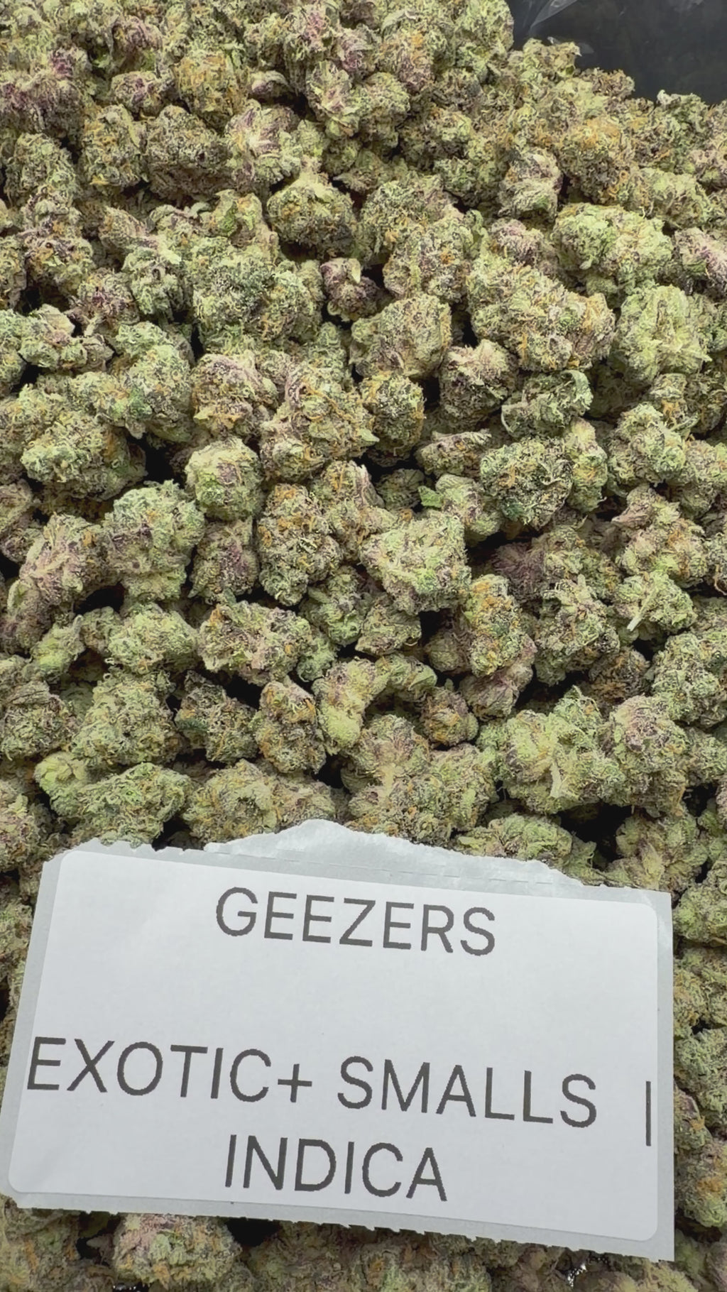 *SALE* SMALLS AND MEDIUMS