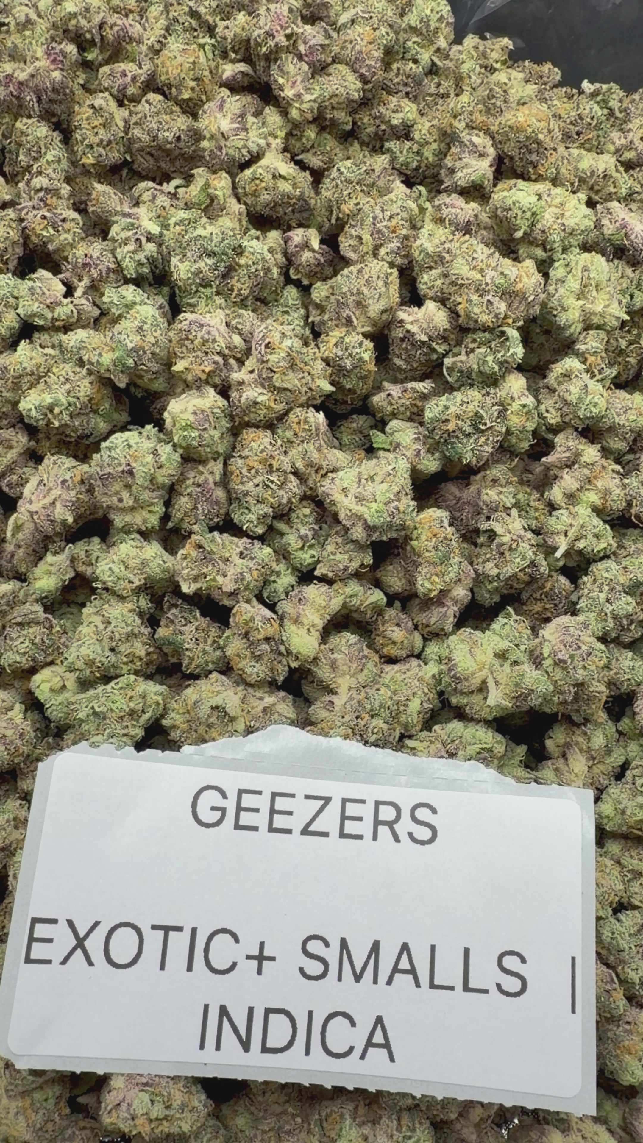 *SALE* SMALLS AND MEDIUMS