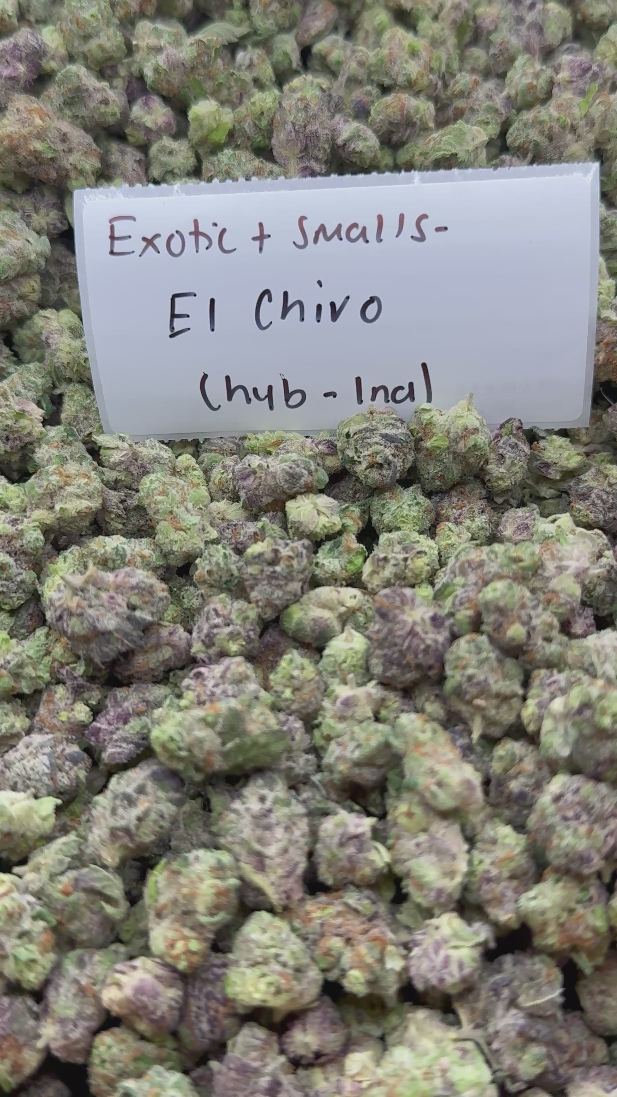 *SALE* SMALLS AND MEDIUMS (NO CODE NEEDED)