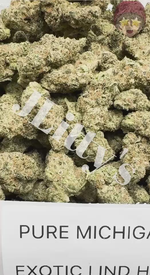 *SALE* SMALLS AND MEDIUMS