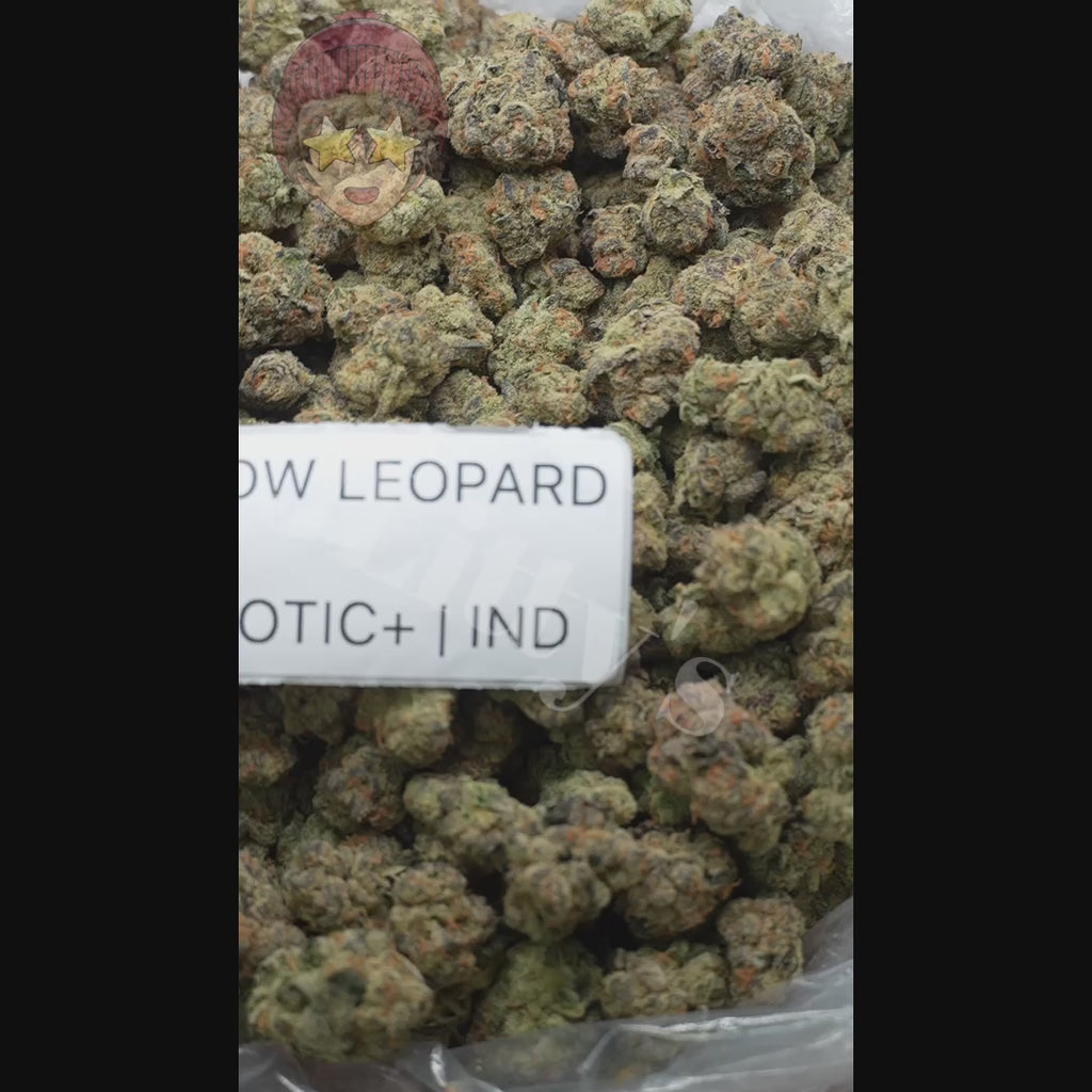 J Litty’s Weekly Deals!