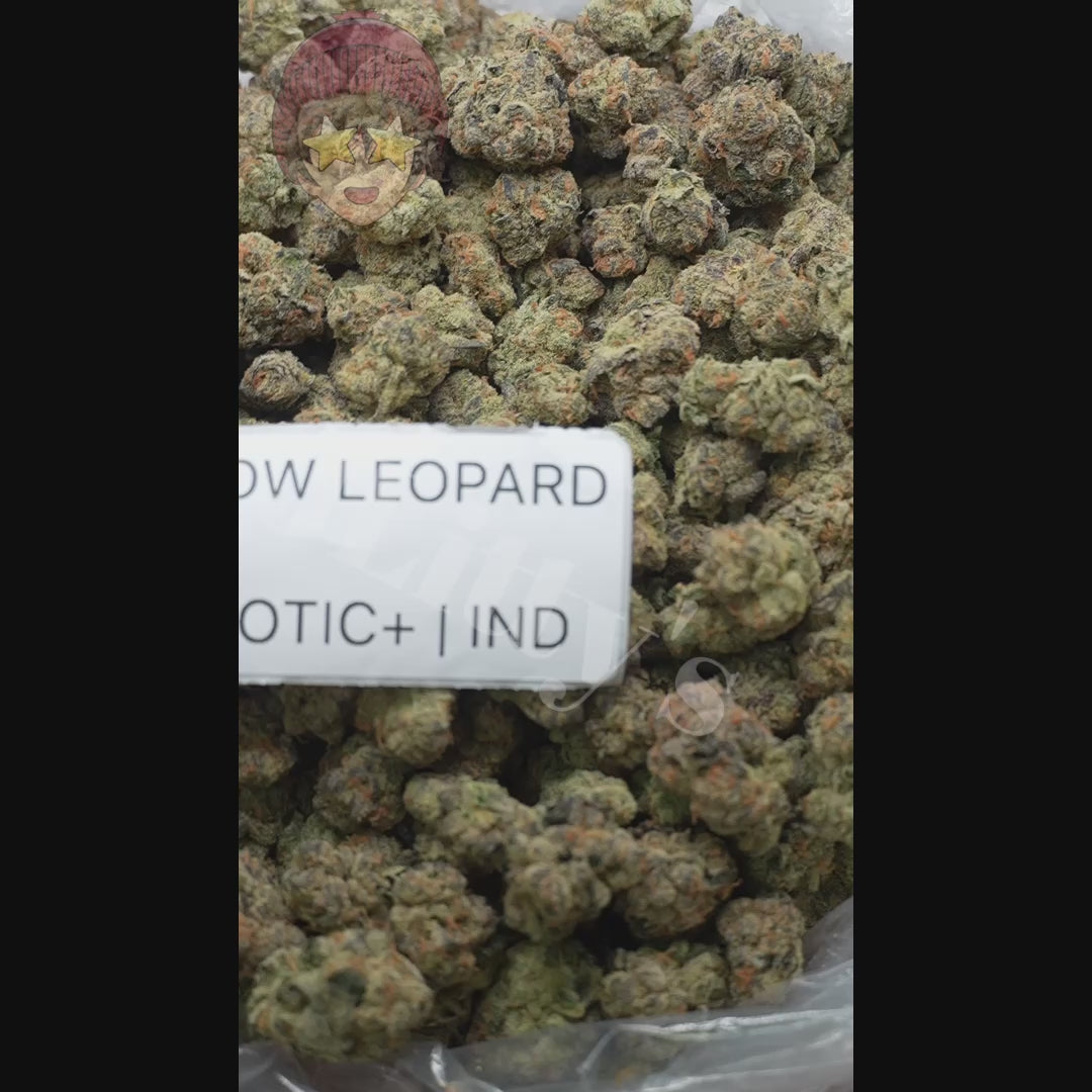 J Litty’s Weekly Deals!