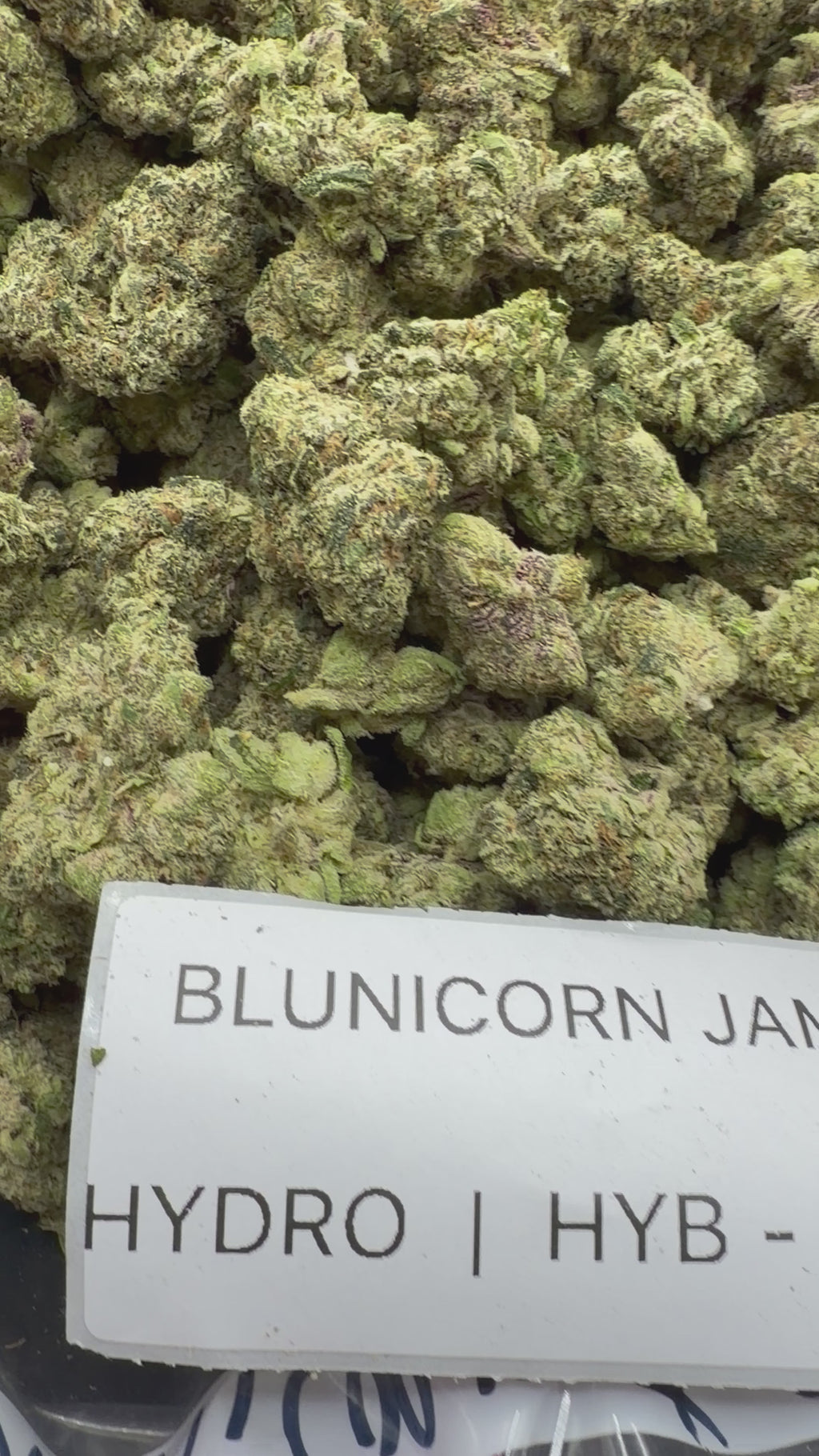 TOP SHELF EXOTICS